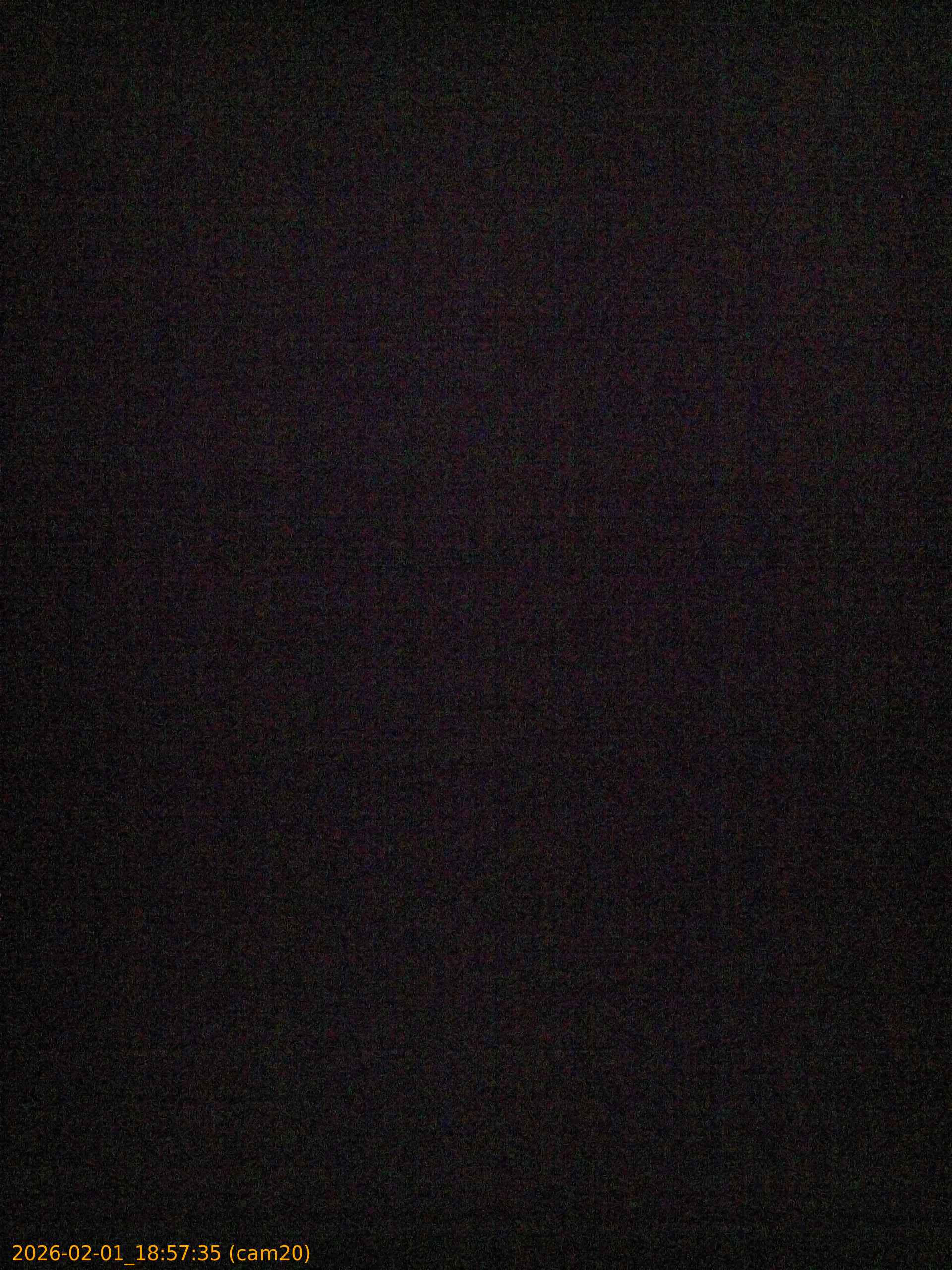 thumbnail_20260201185735