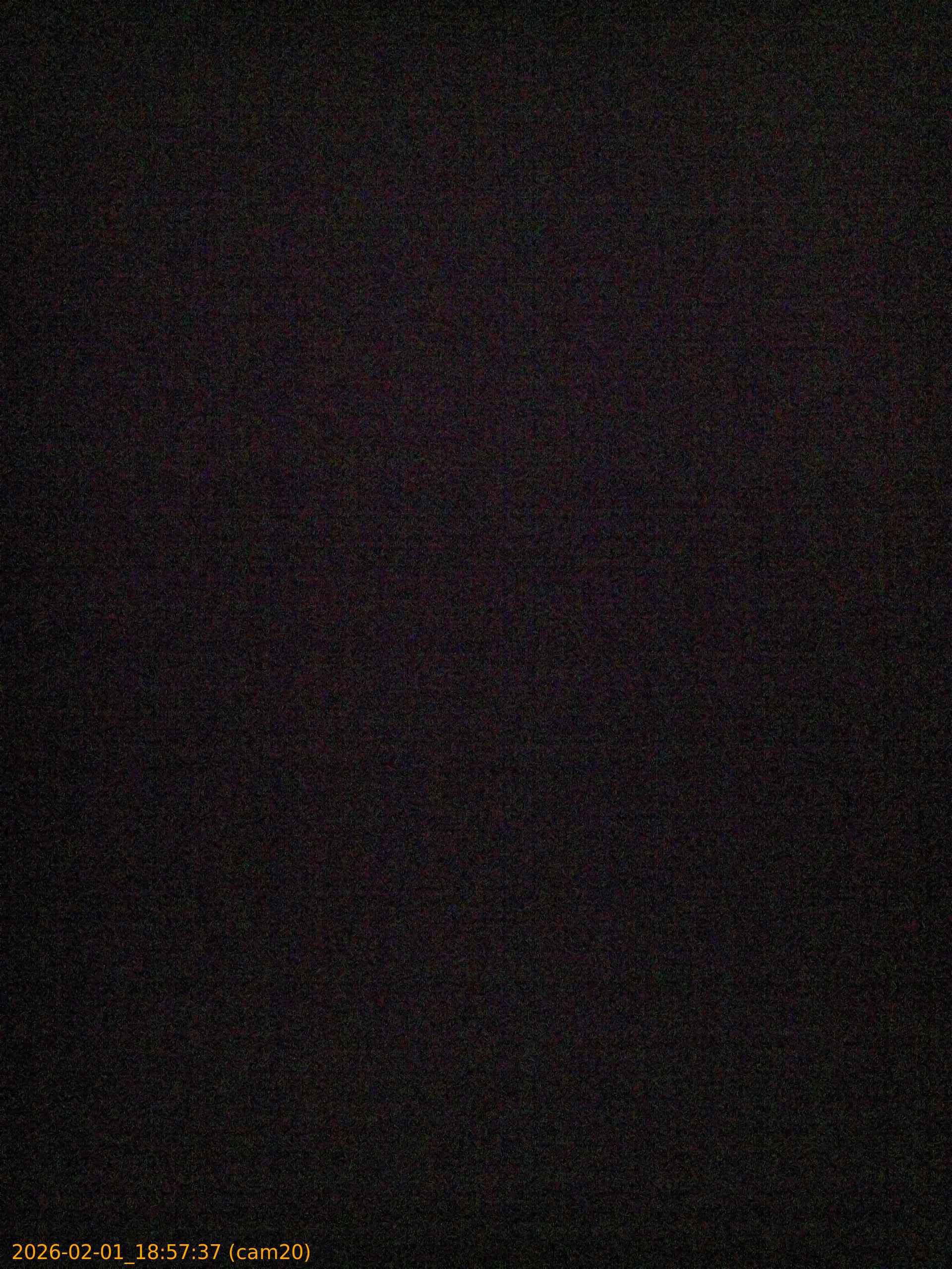 thumbnail_20260201185737