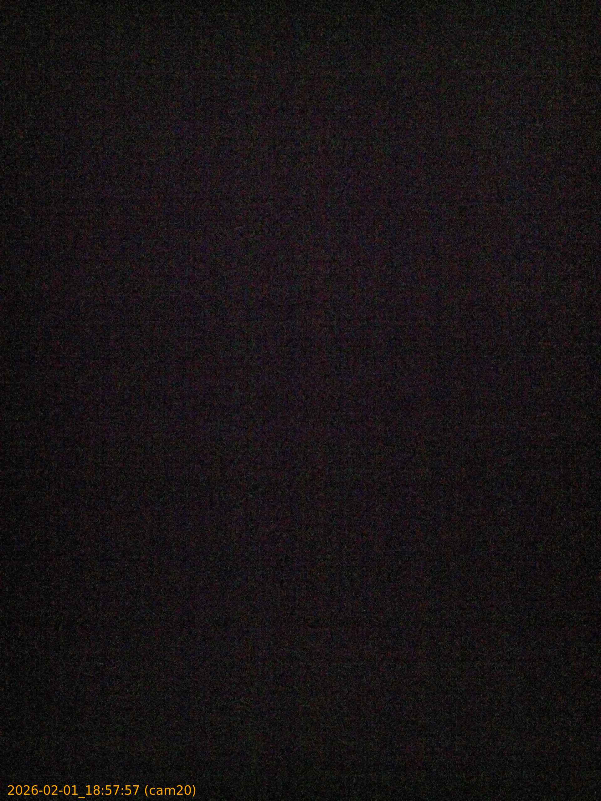 thumbnail_20260201185757