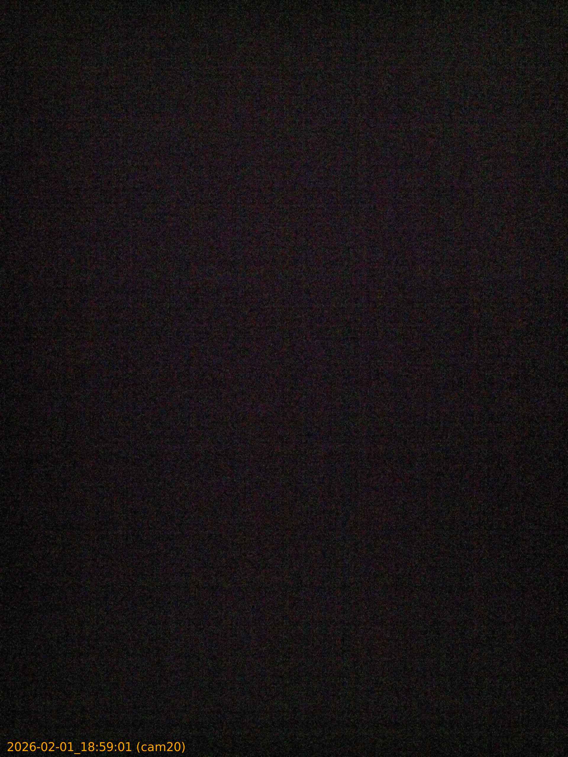 thumbnail_20260201185901