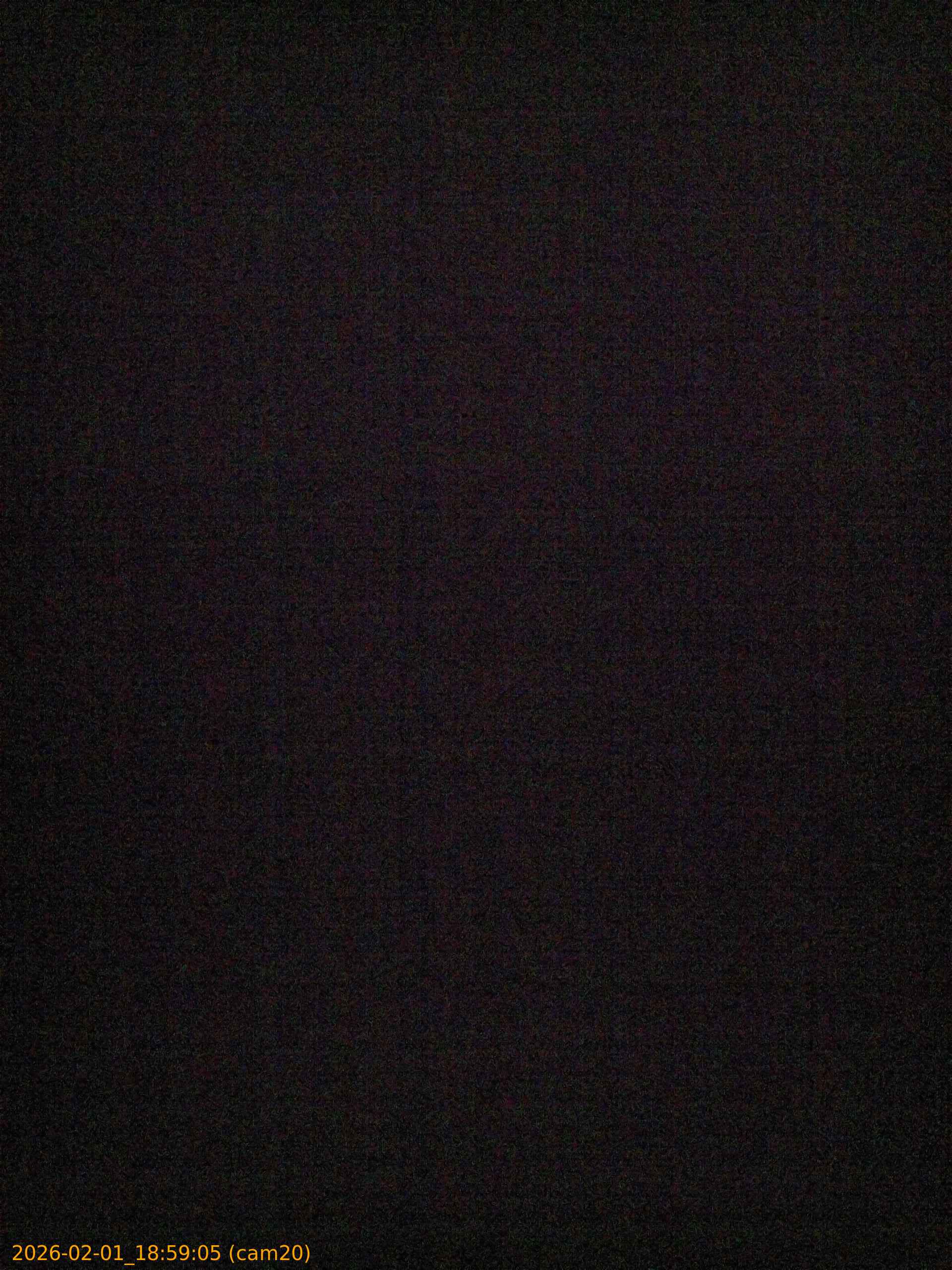 thumbnail_20260201185905