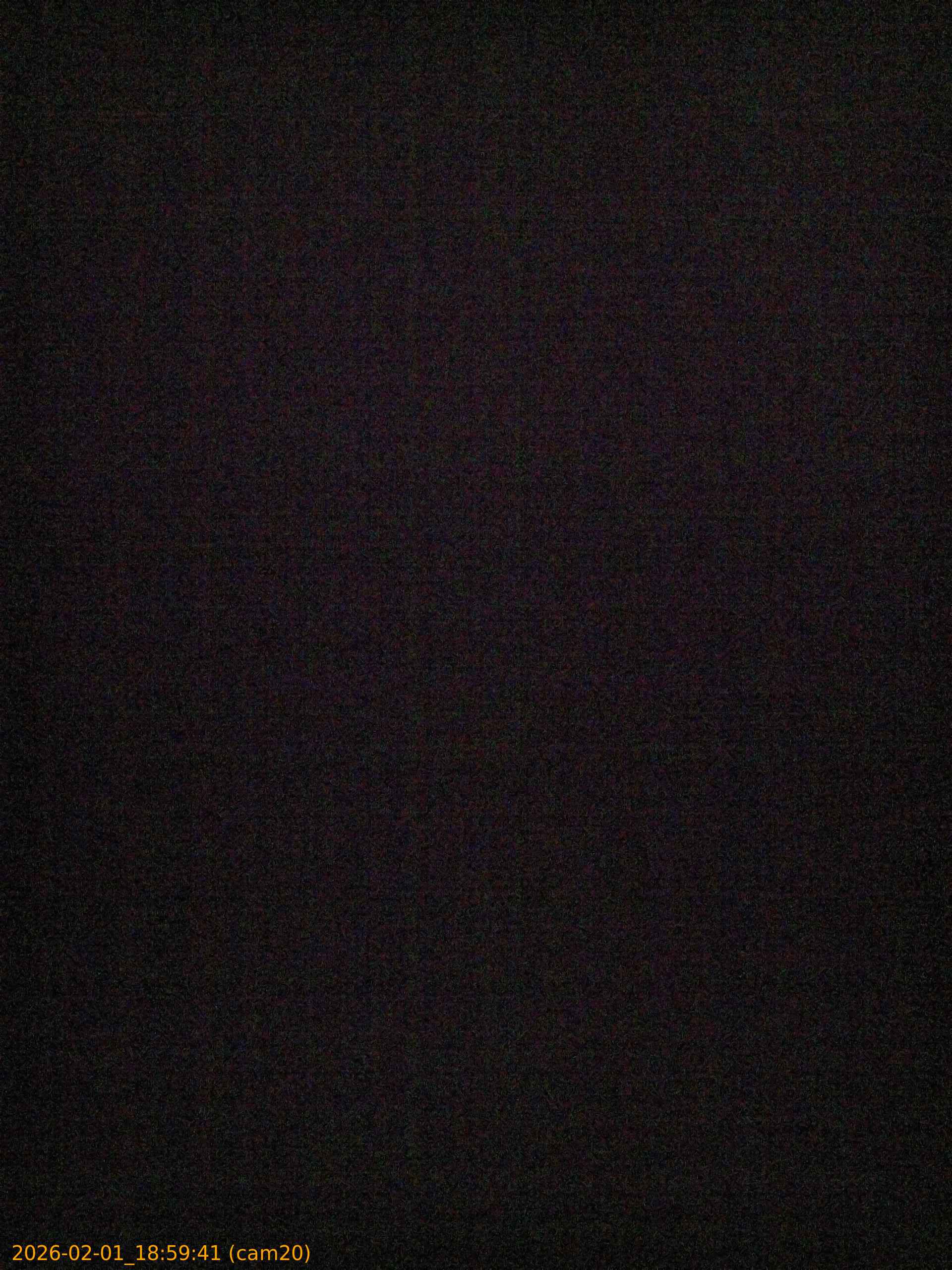 thumbnail_20260201185941