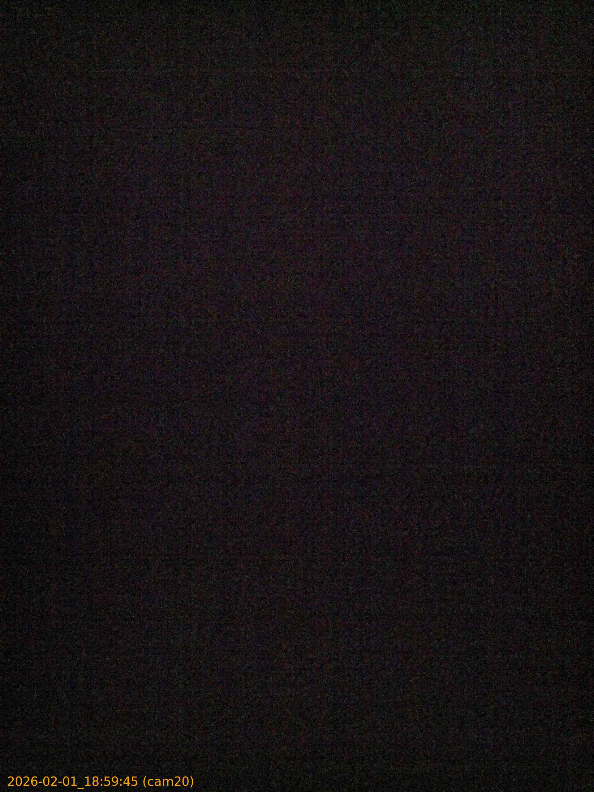 thumbnail_20260201185945