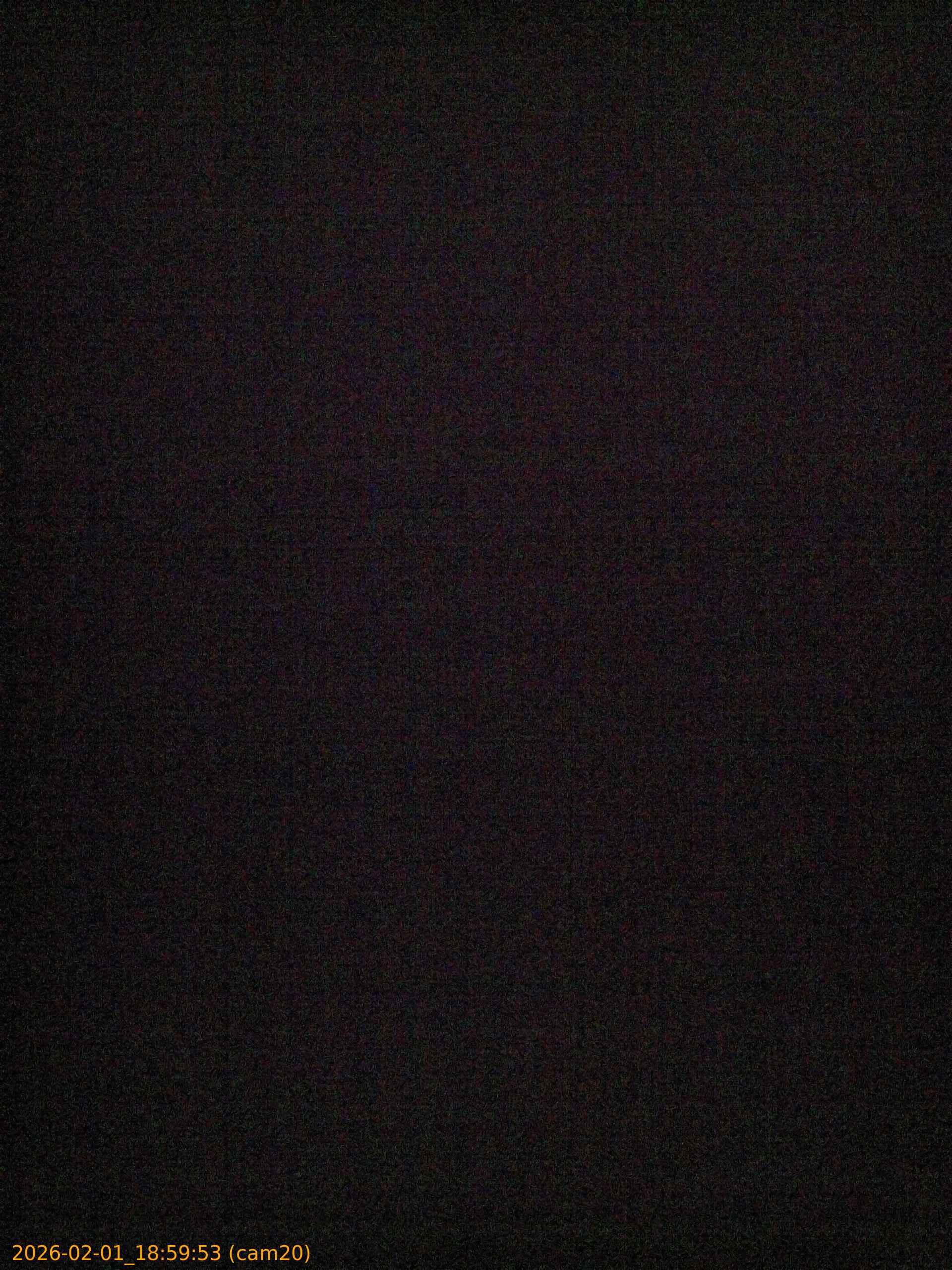 thumbnail_20260201185953