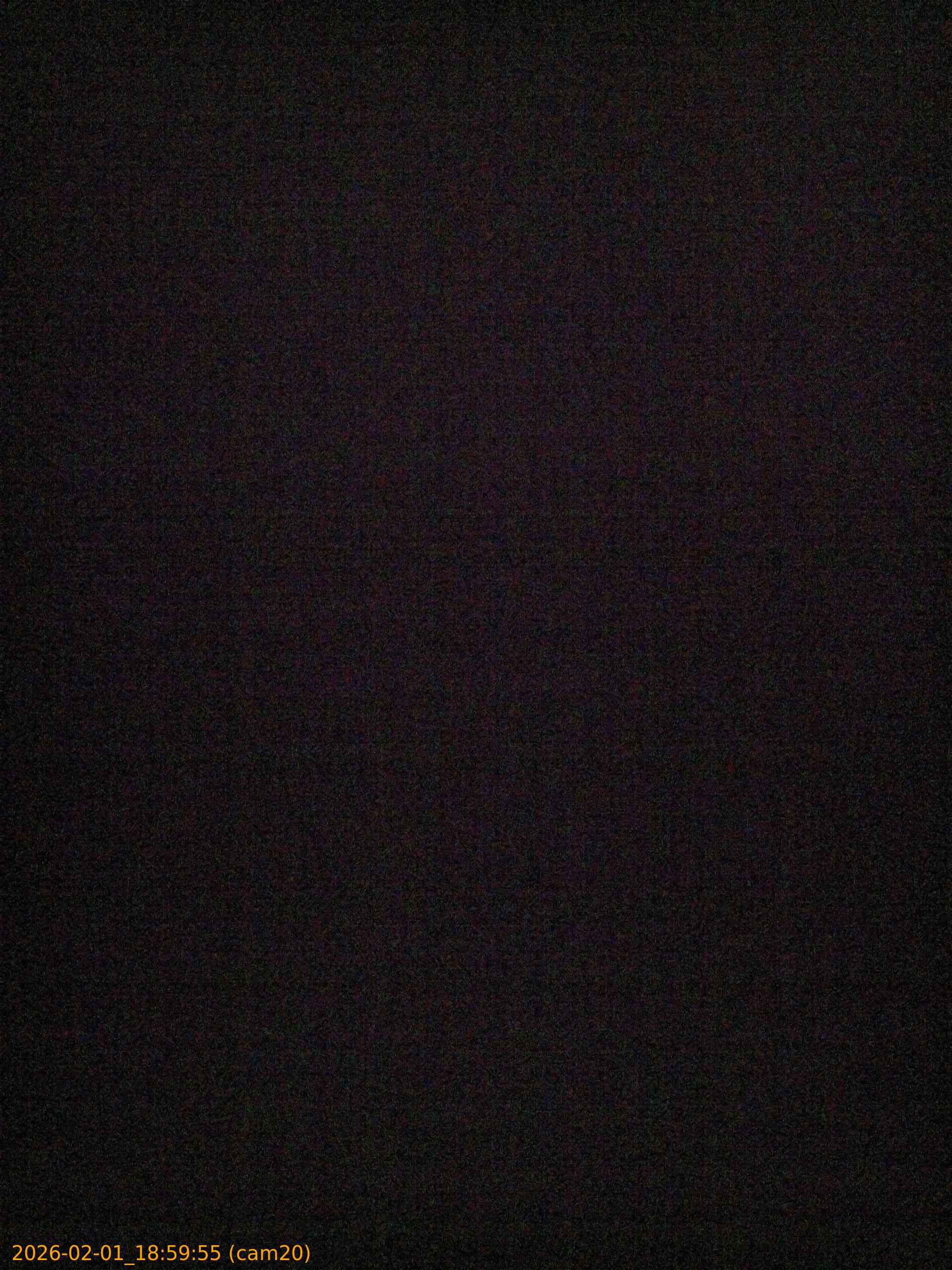 thumbnail_20260201185955