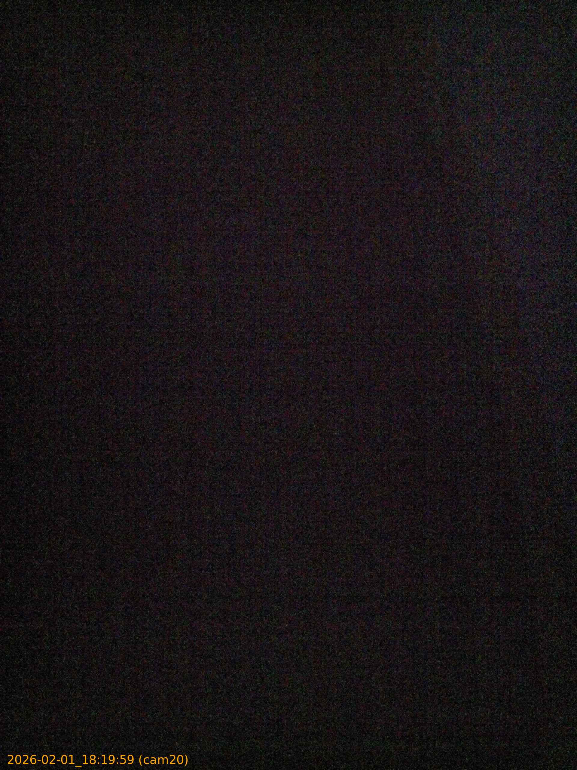 thumbnail_202602011819