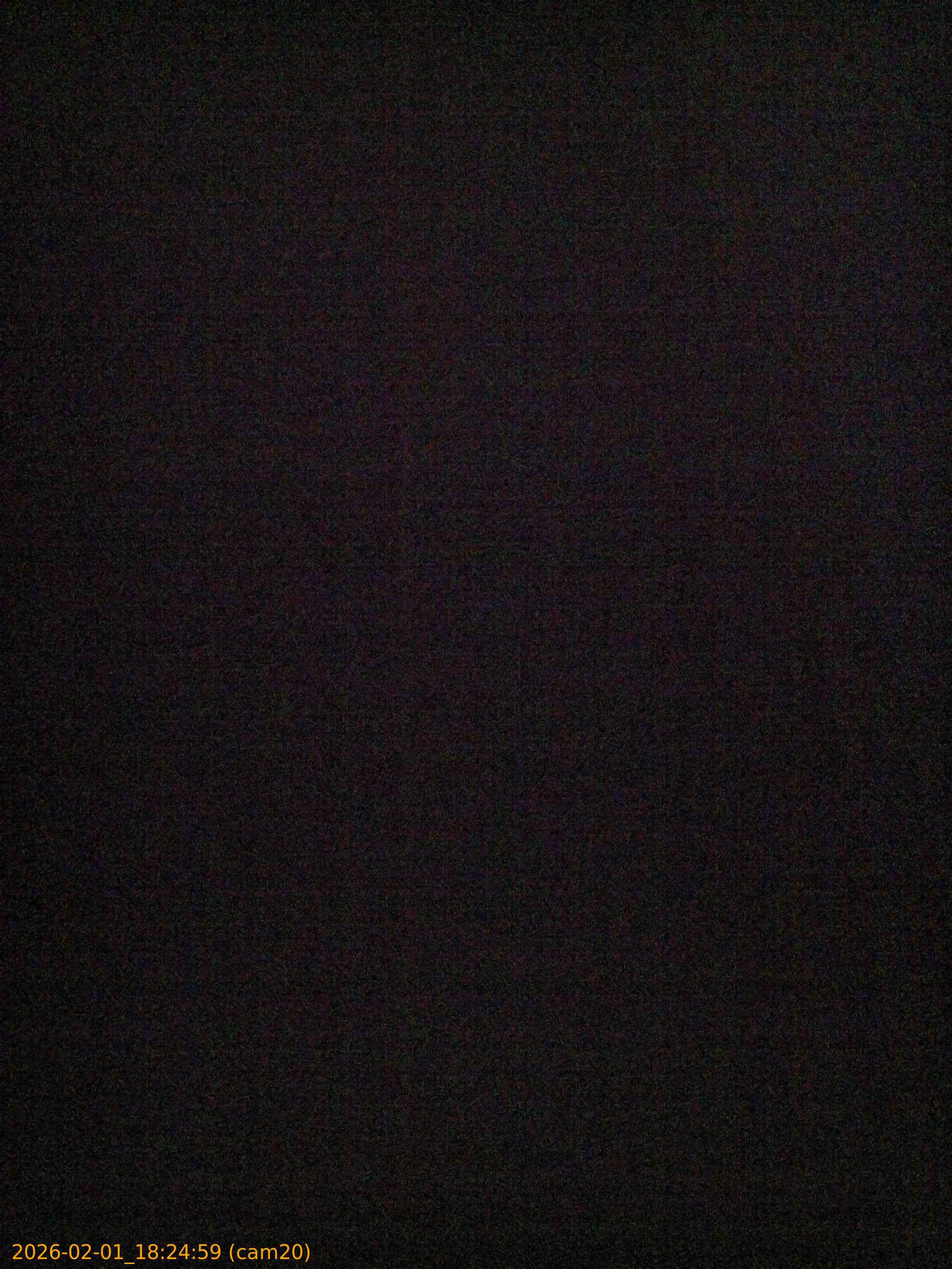 thumbnail_202602011824