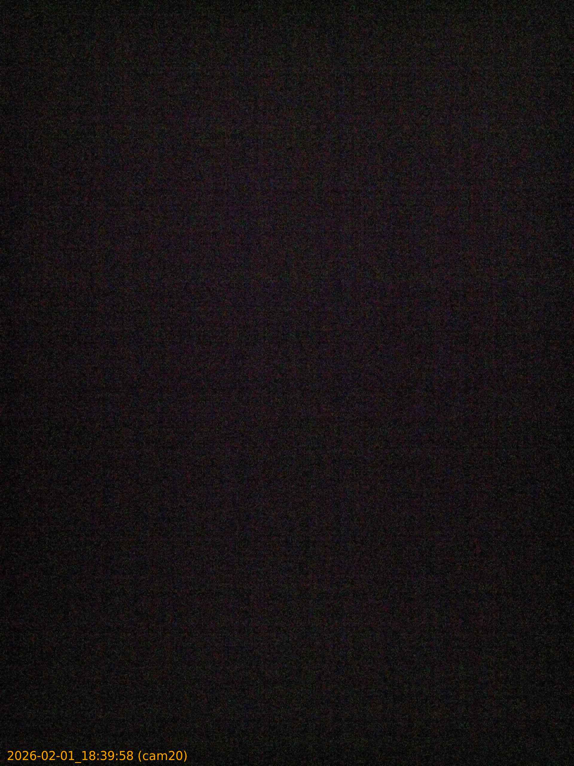 thumbnail_202602011839