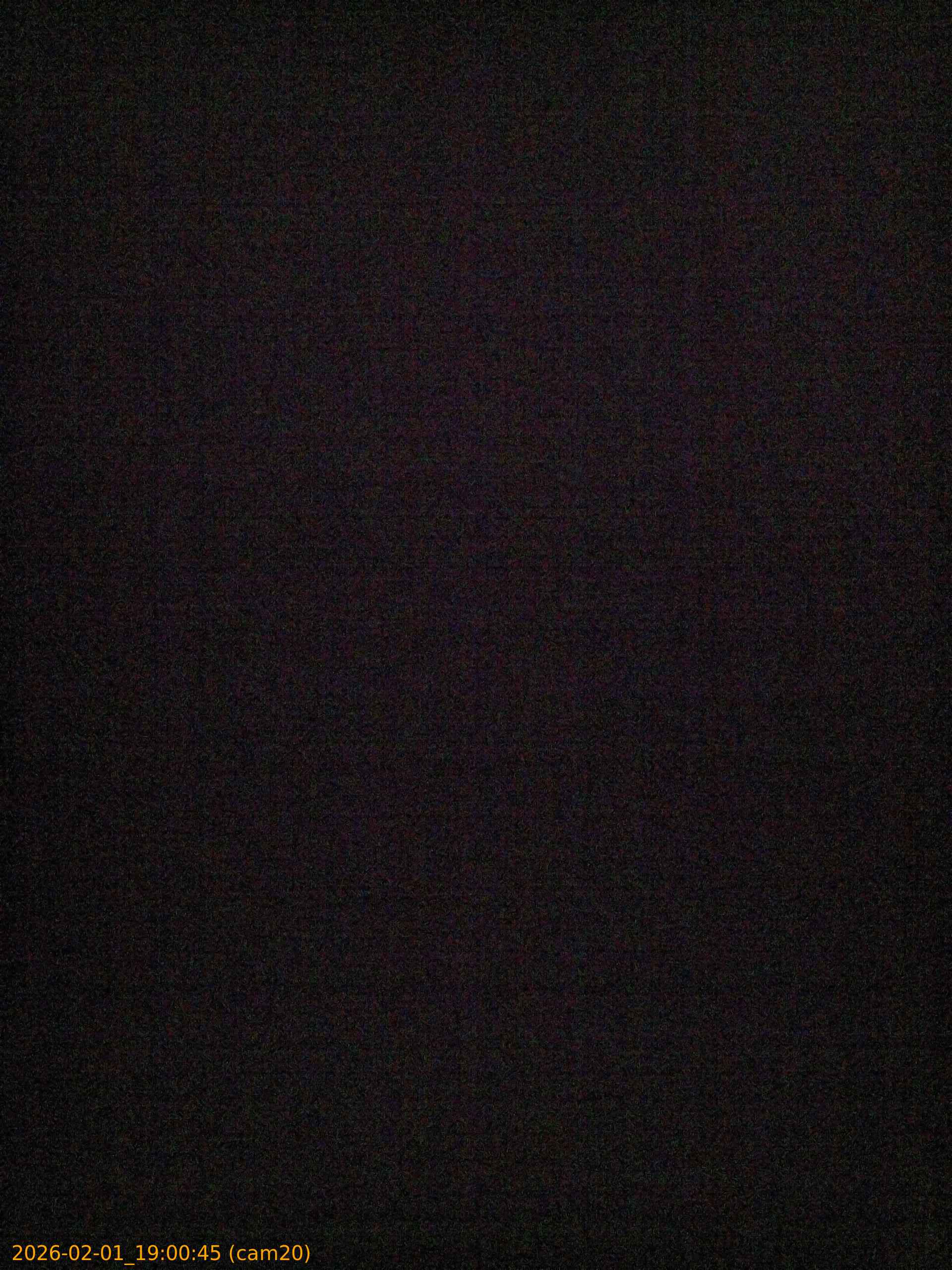 20260201190045