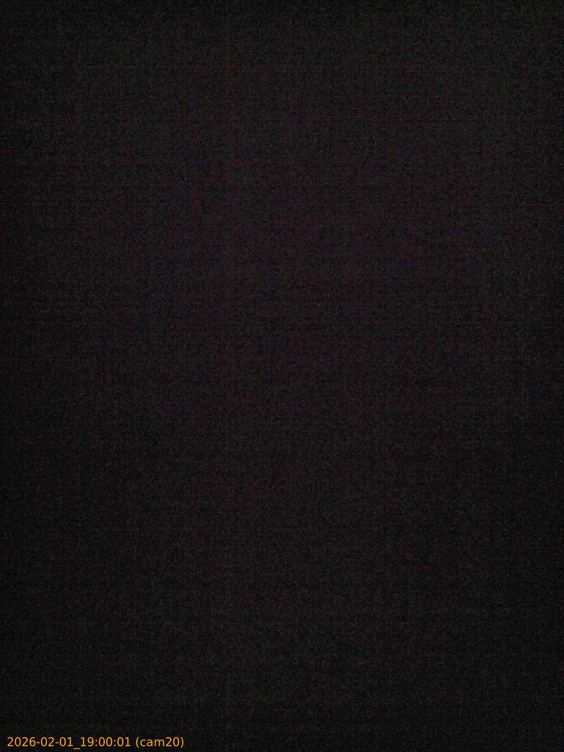 thumbnail_20260201190001