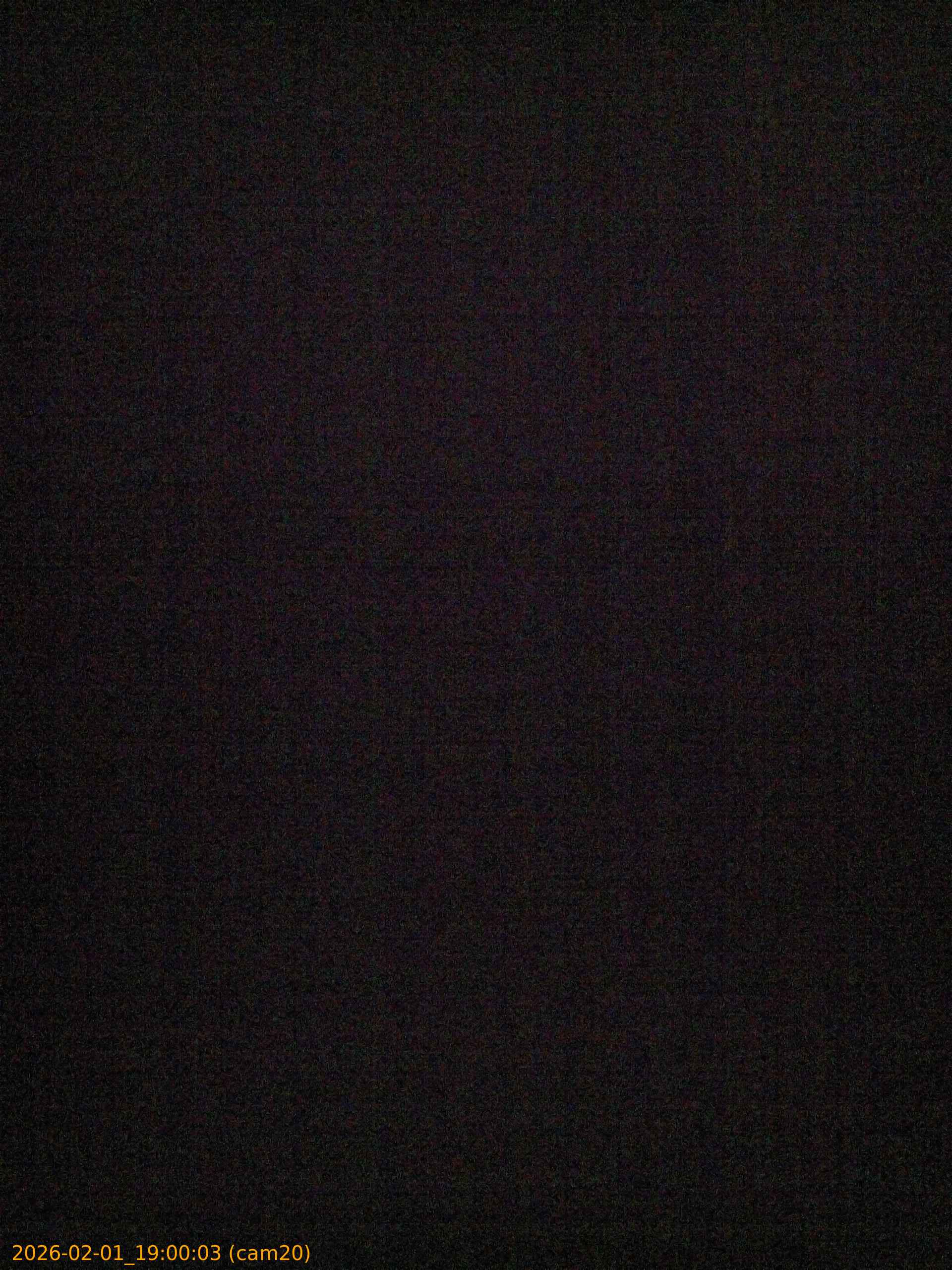 thumbnail_20260201190003