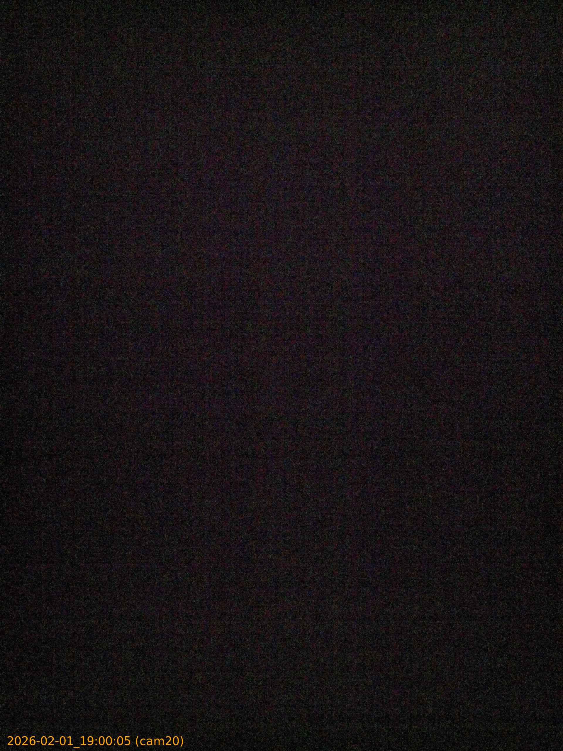 thumbnail_20260201190005