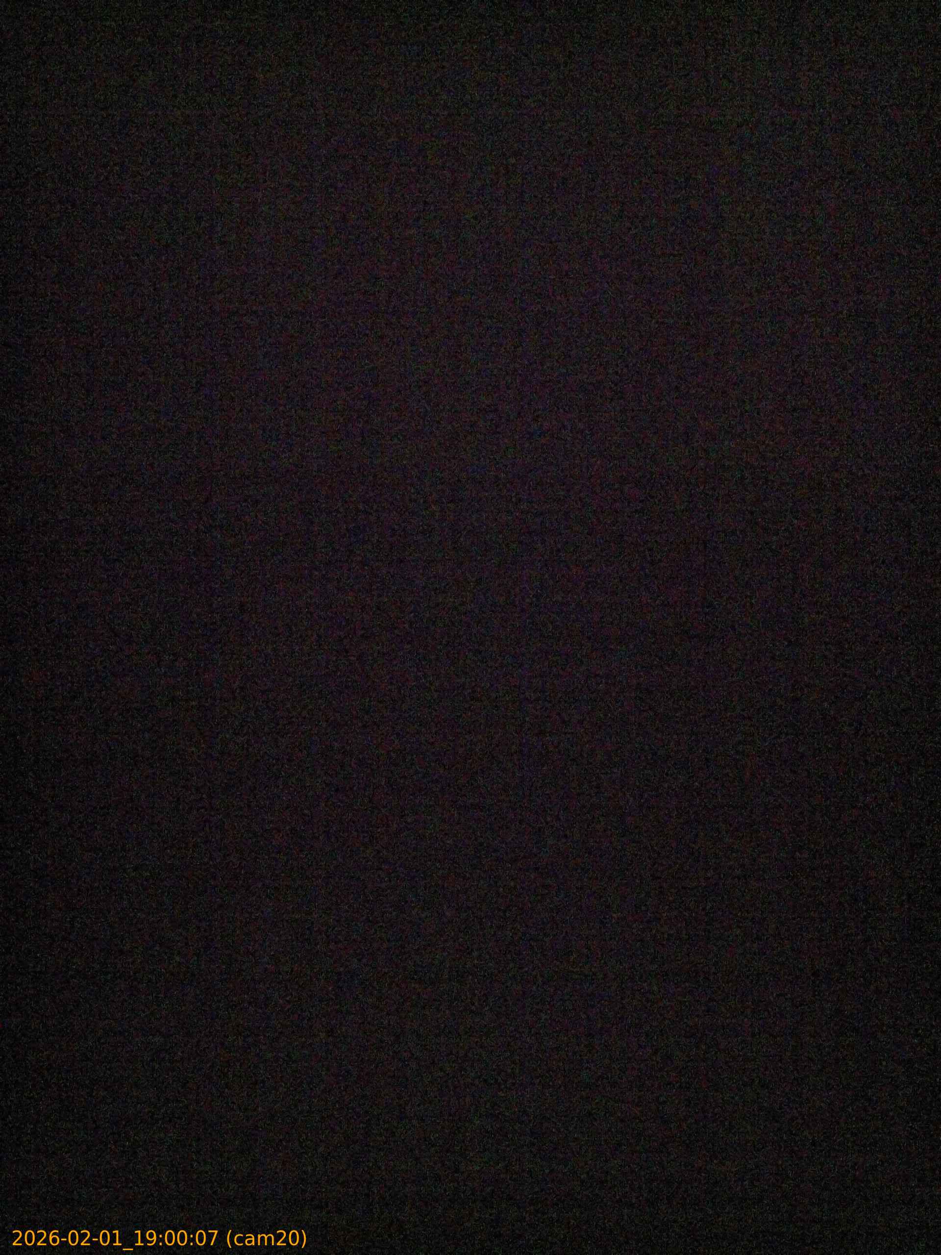 thumbnail_20260201190007