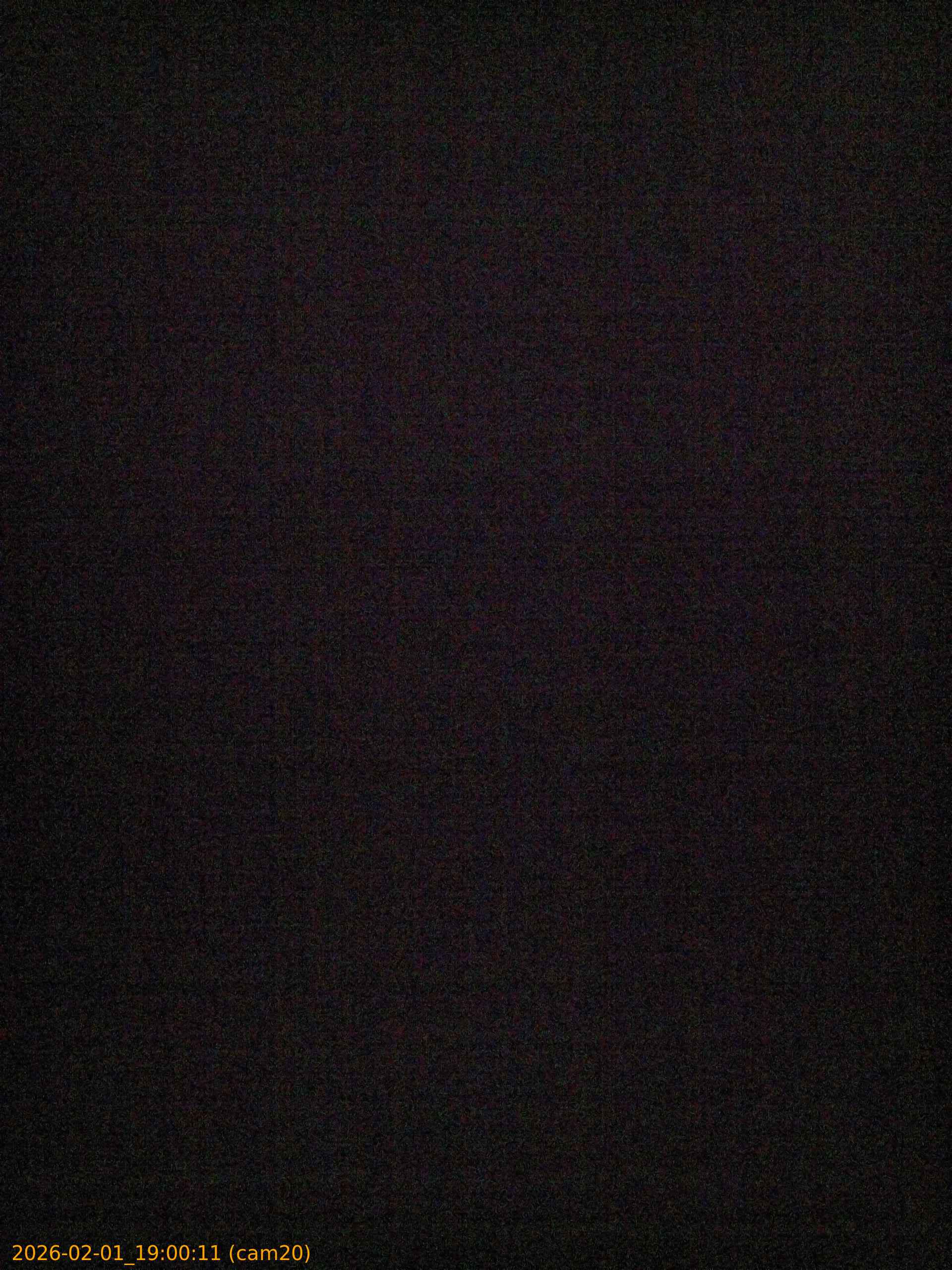 thumbnail_20260201190011