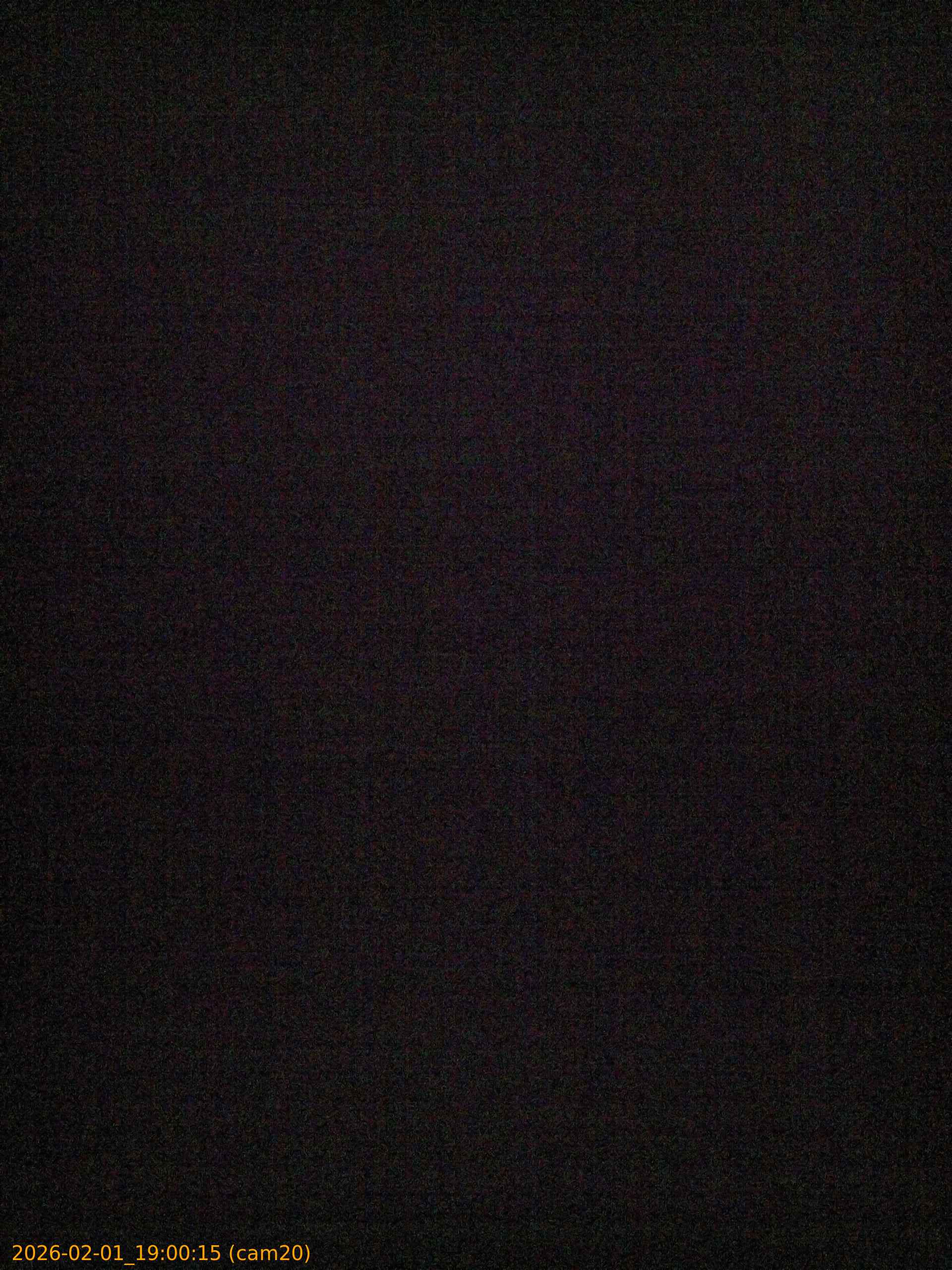 thumbnail_20260201190015