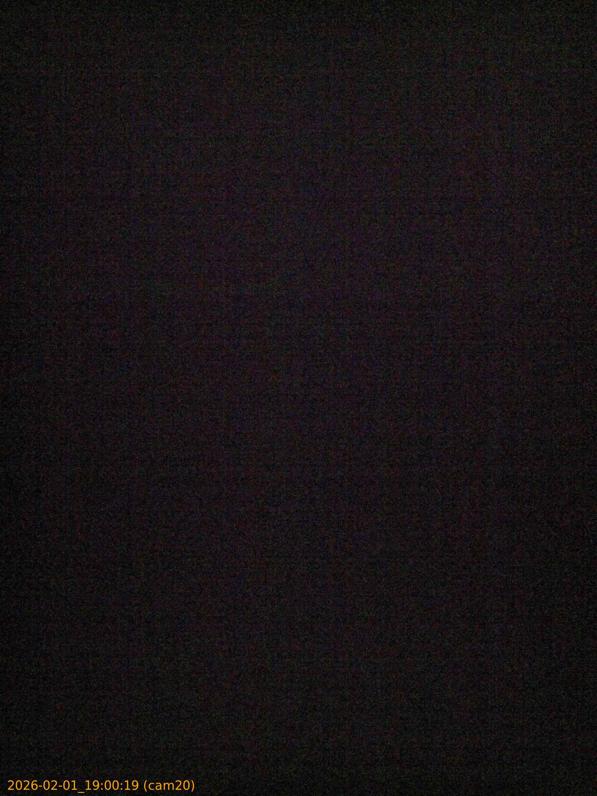 thumbnail_20260201190019