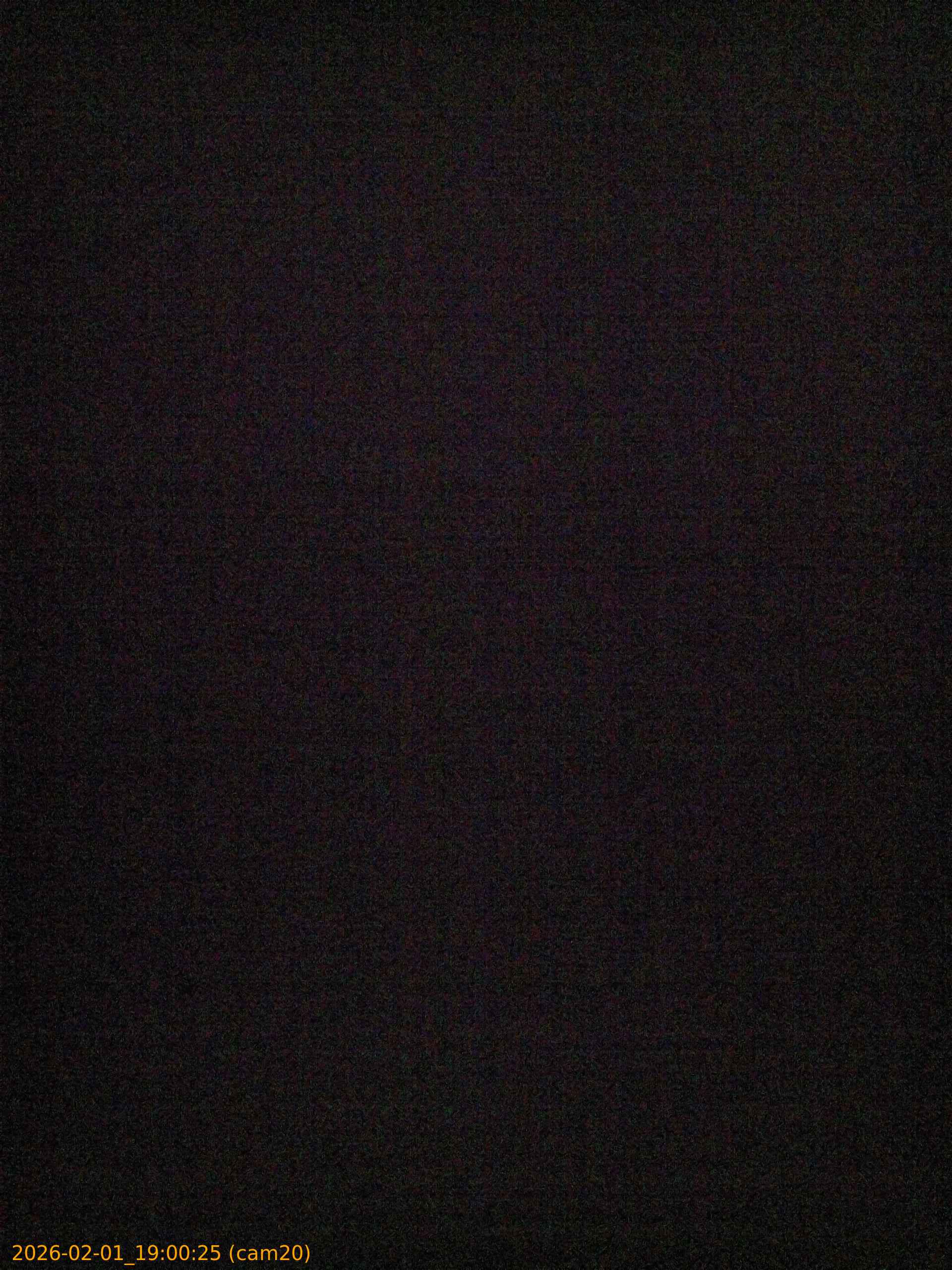 thumbnail_20260201190025