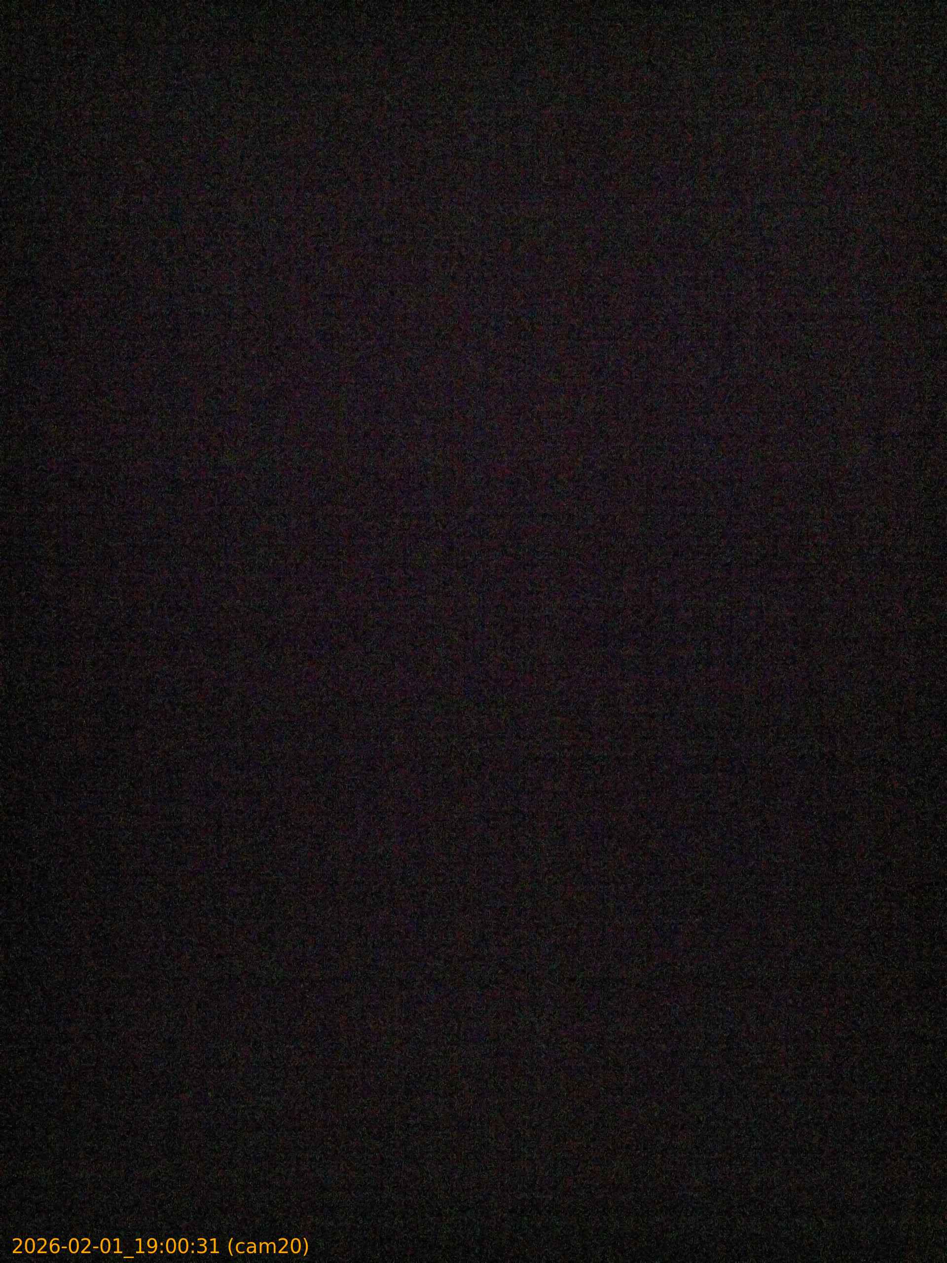 thumbnail_20260201190031