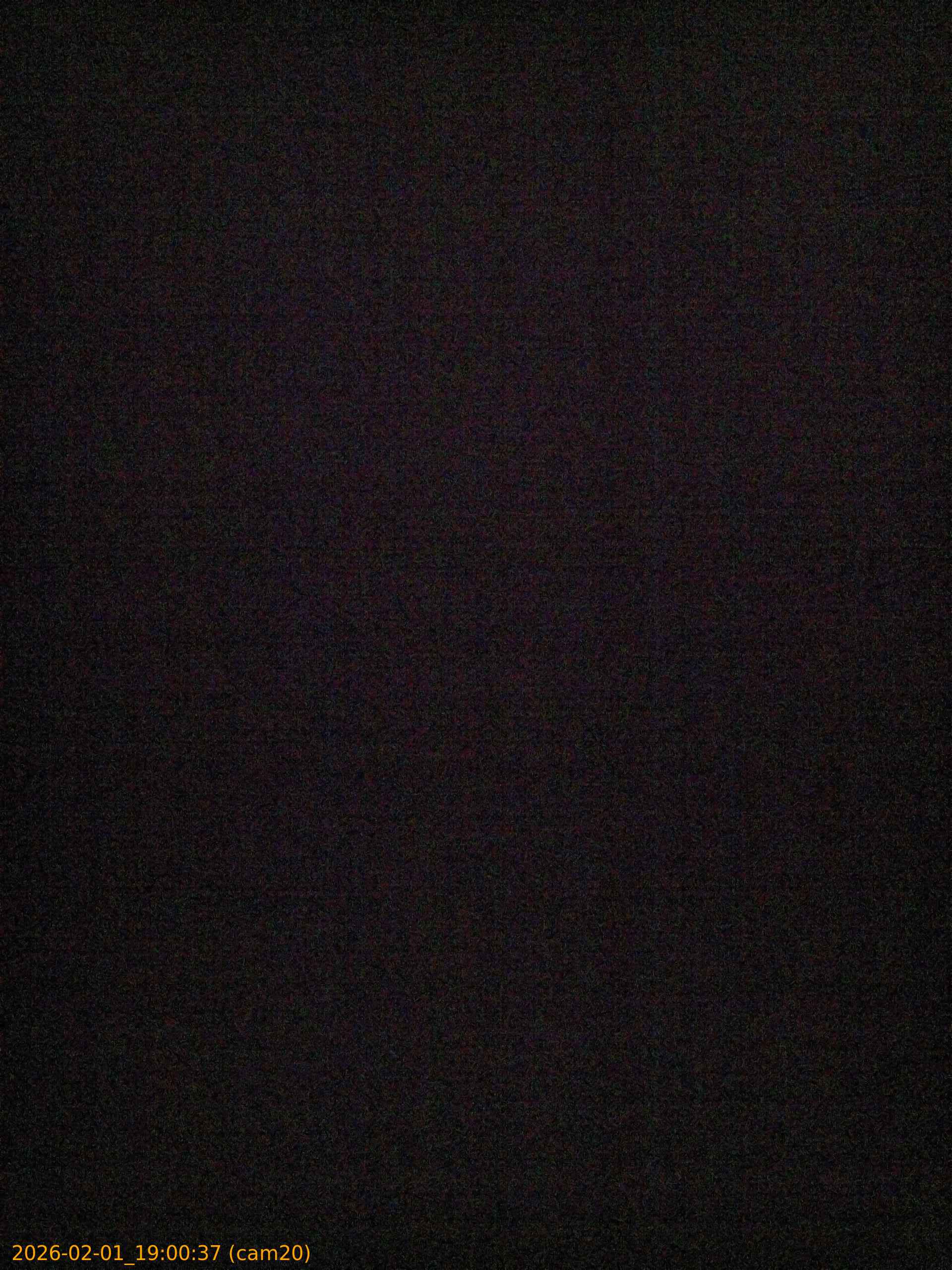 thumbnail_20260201190037