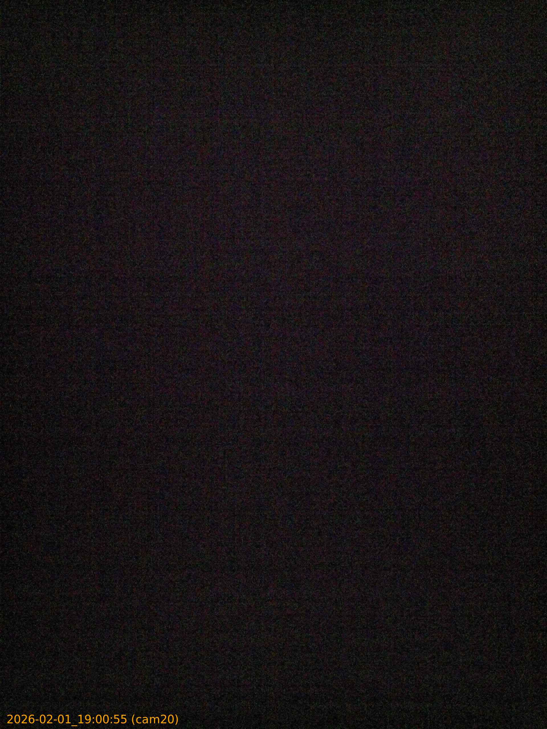 thumbnail_20260201190055