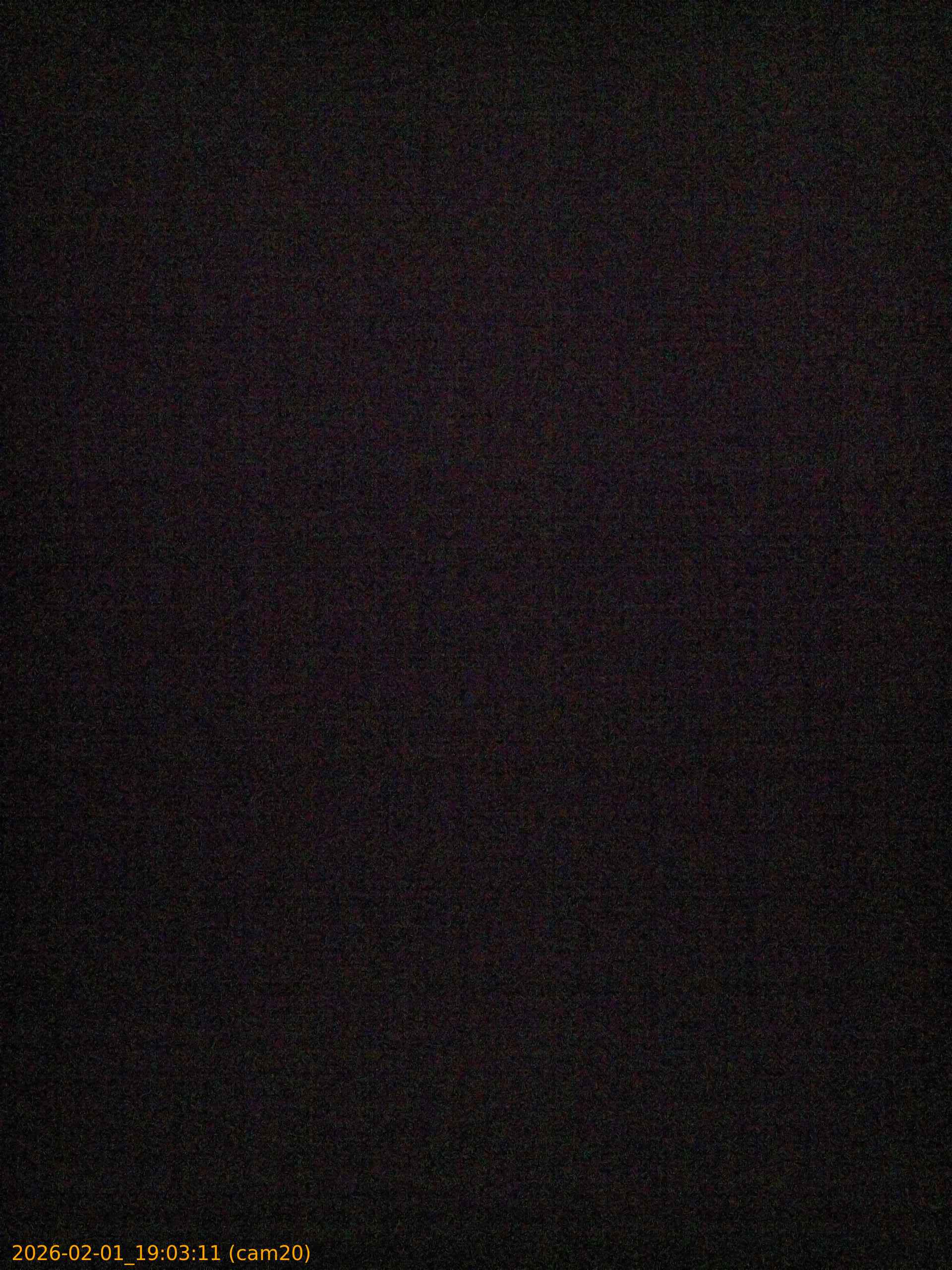 thumbnail_20260201190311