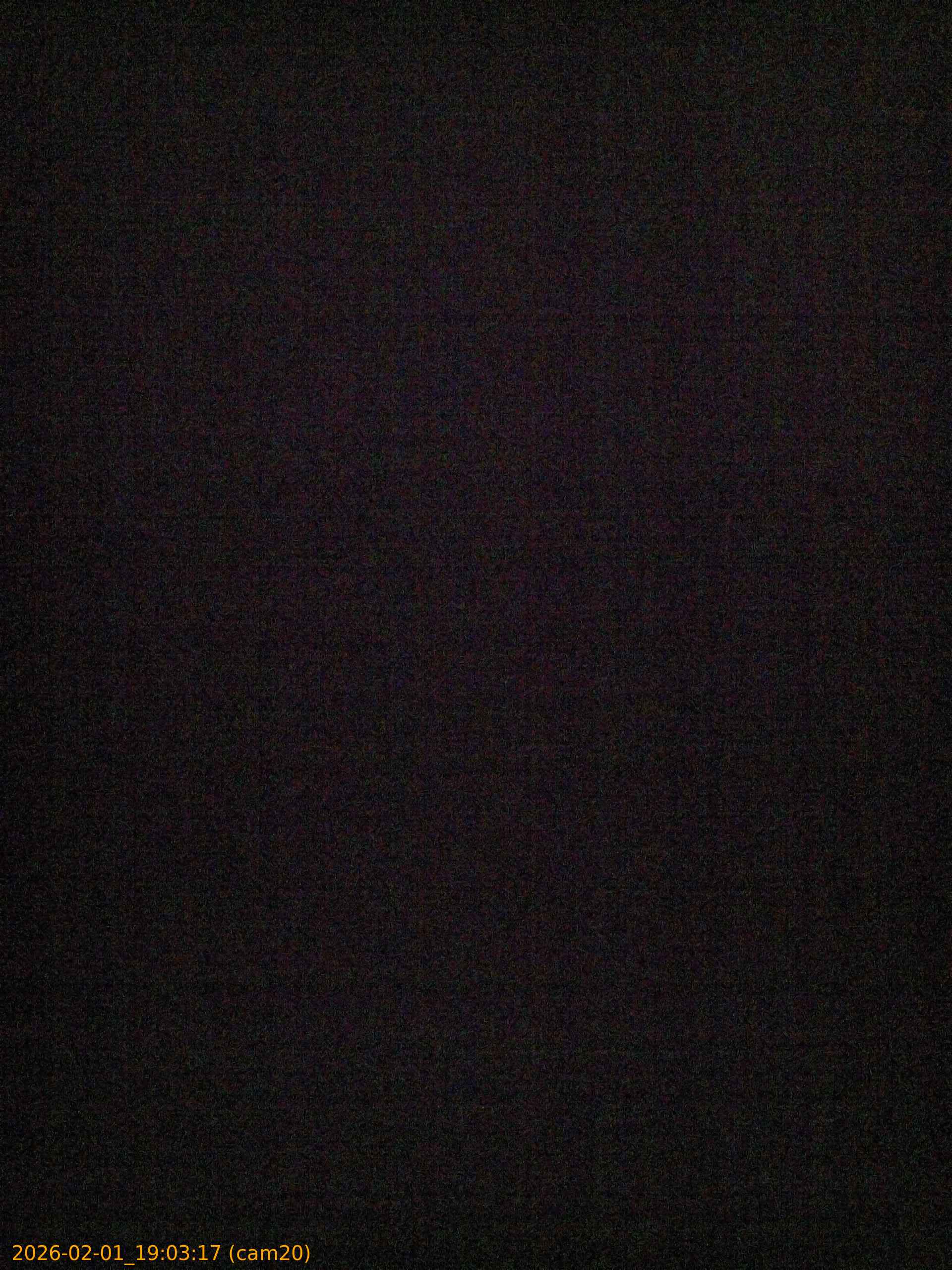 thumbnail_20260201190317