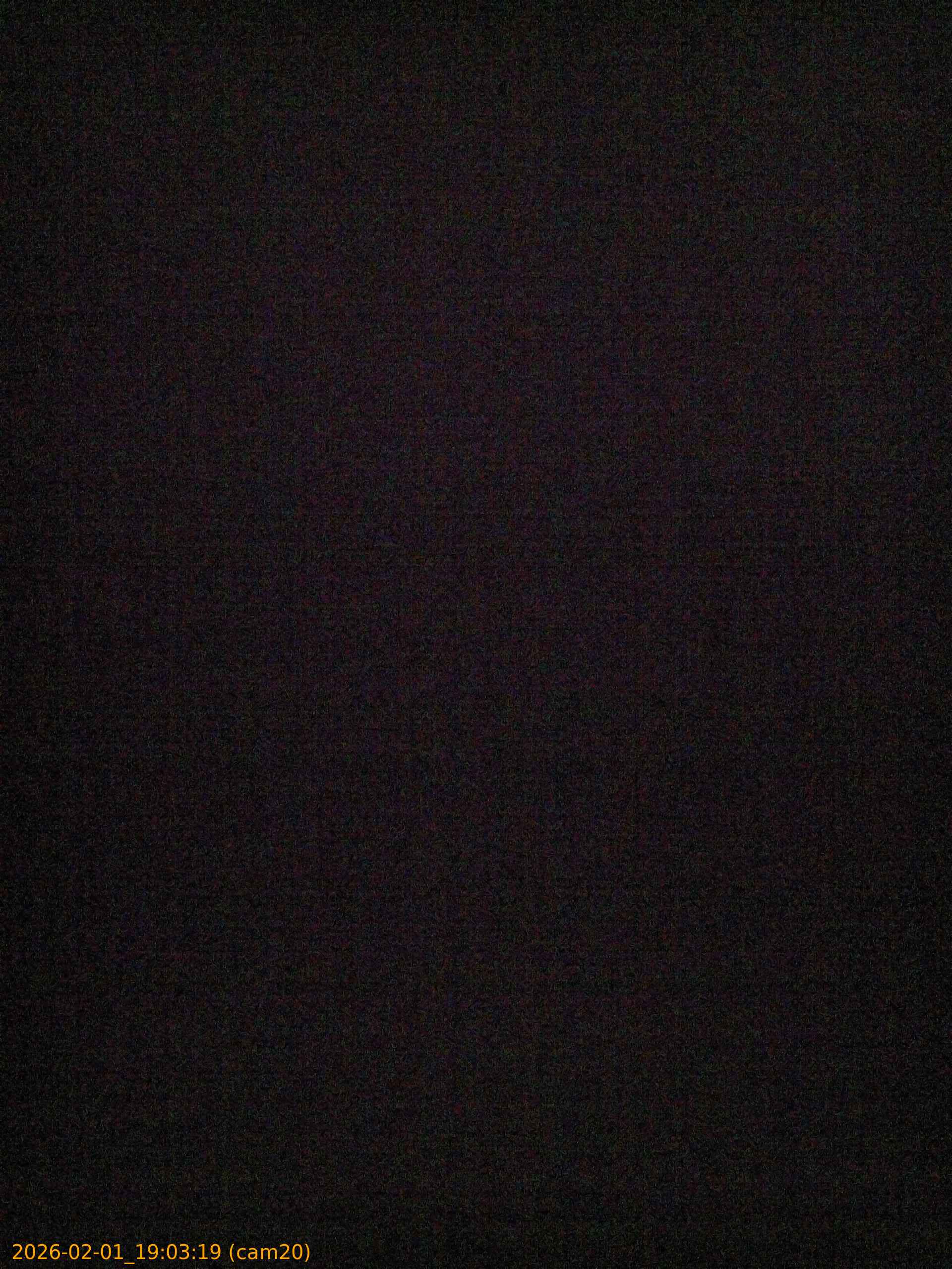 thumbnail_20260201190319