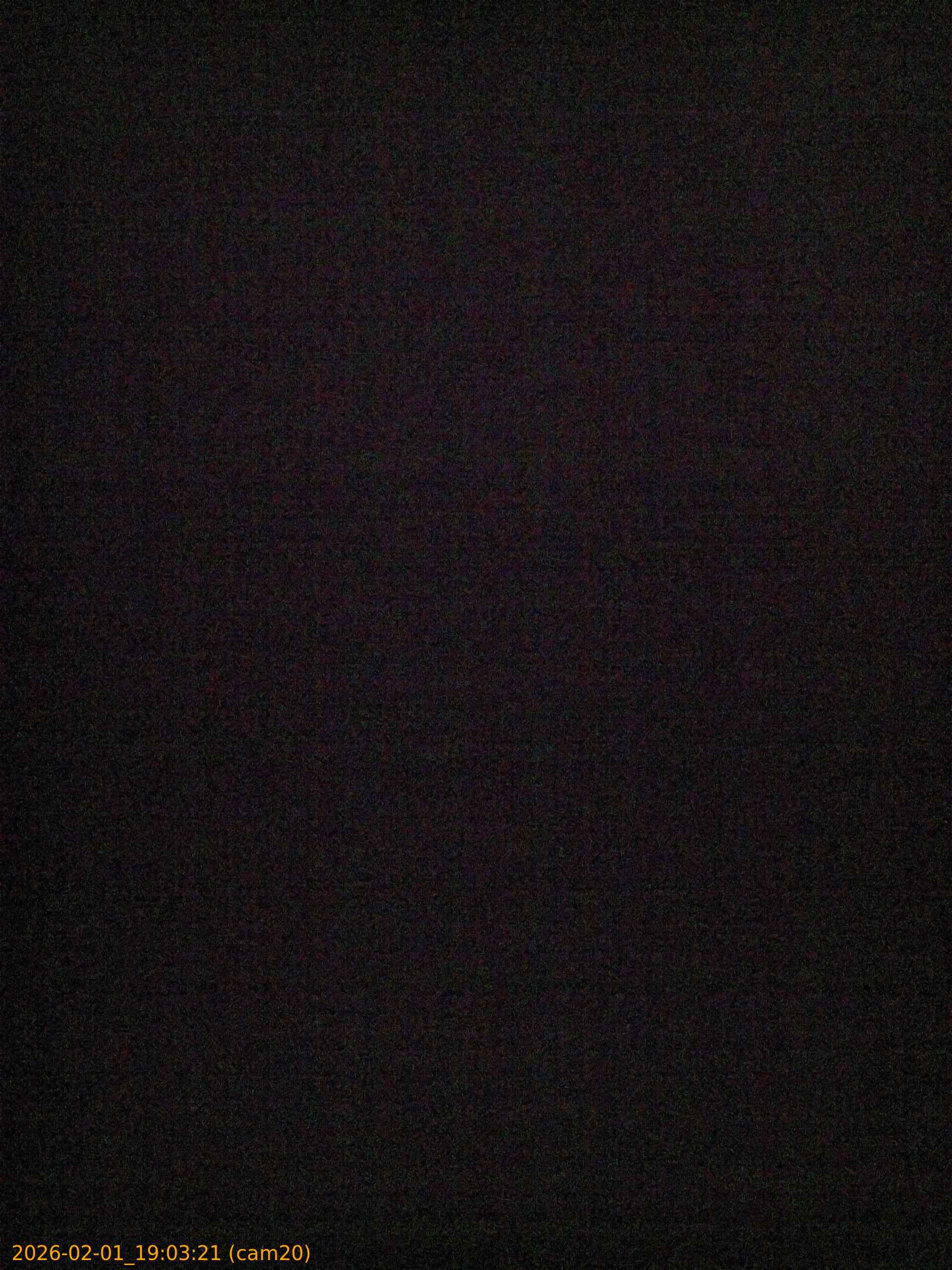 thumbnail_20260201190321