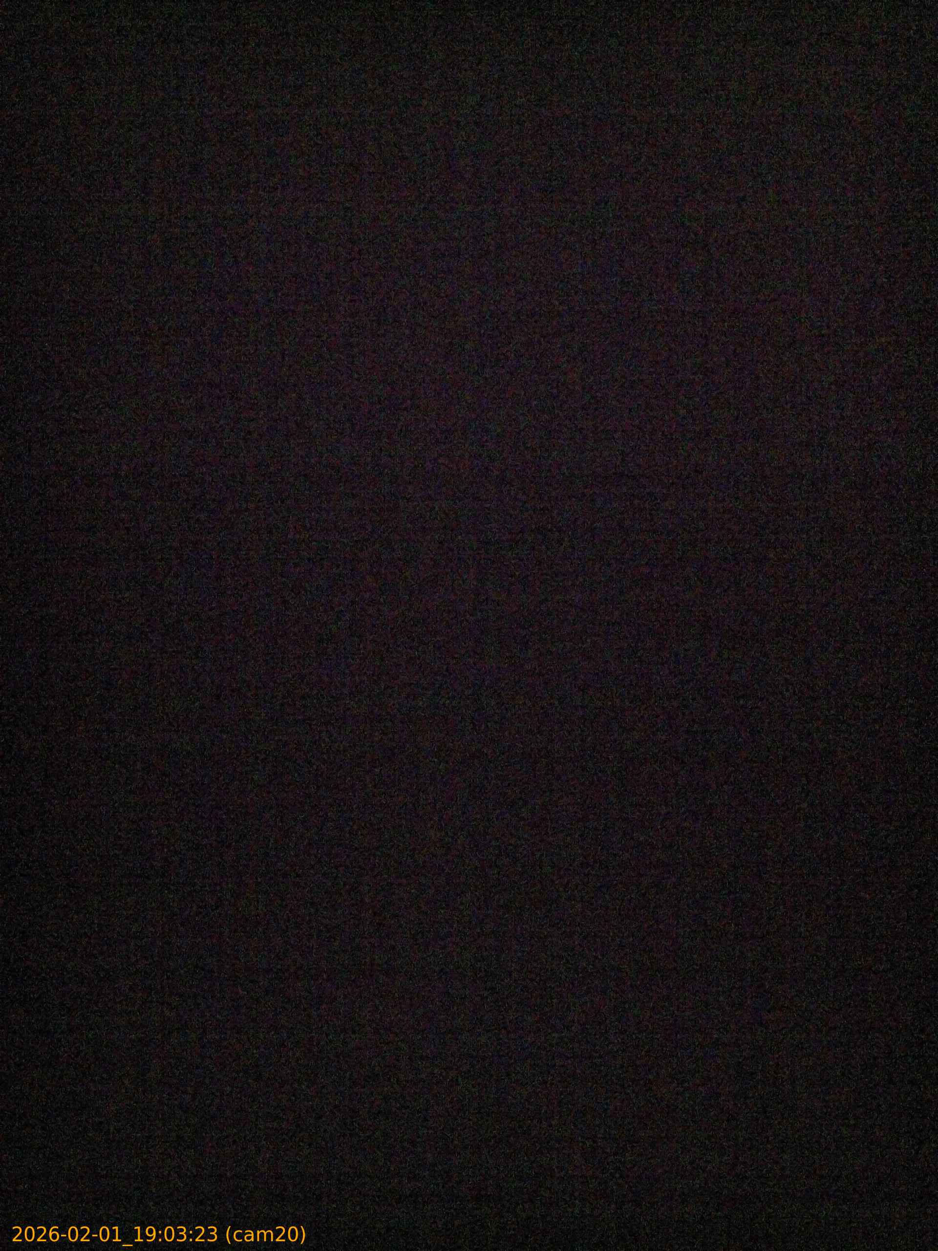 thumbnail_20260201190323