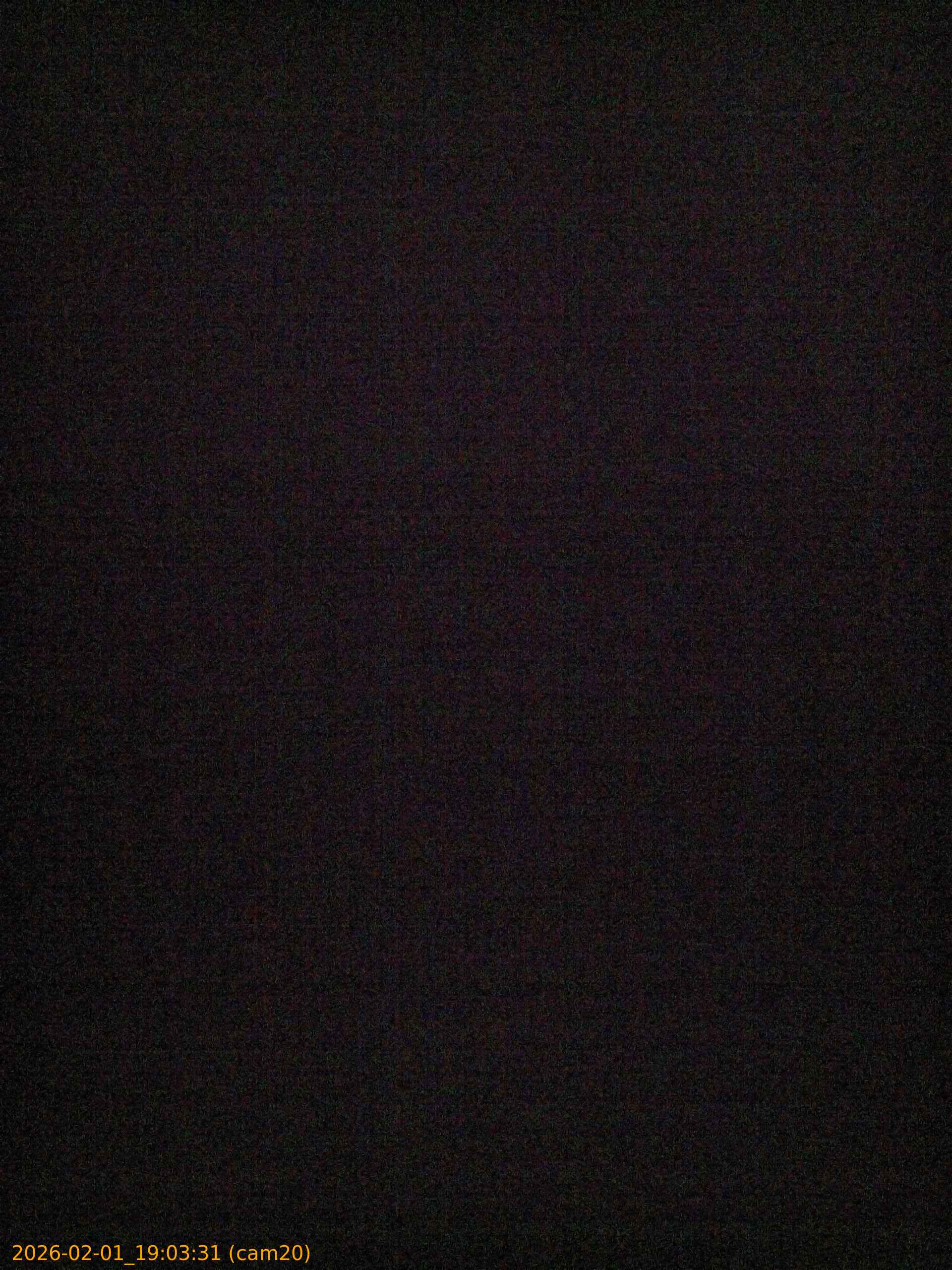 thumbnail_20260201190331