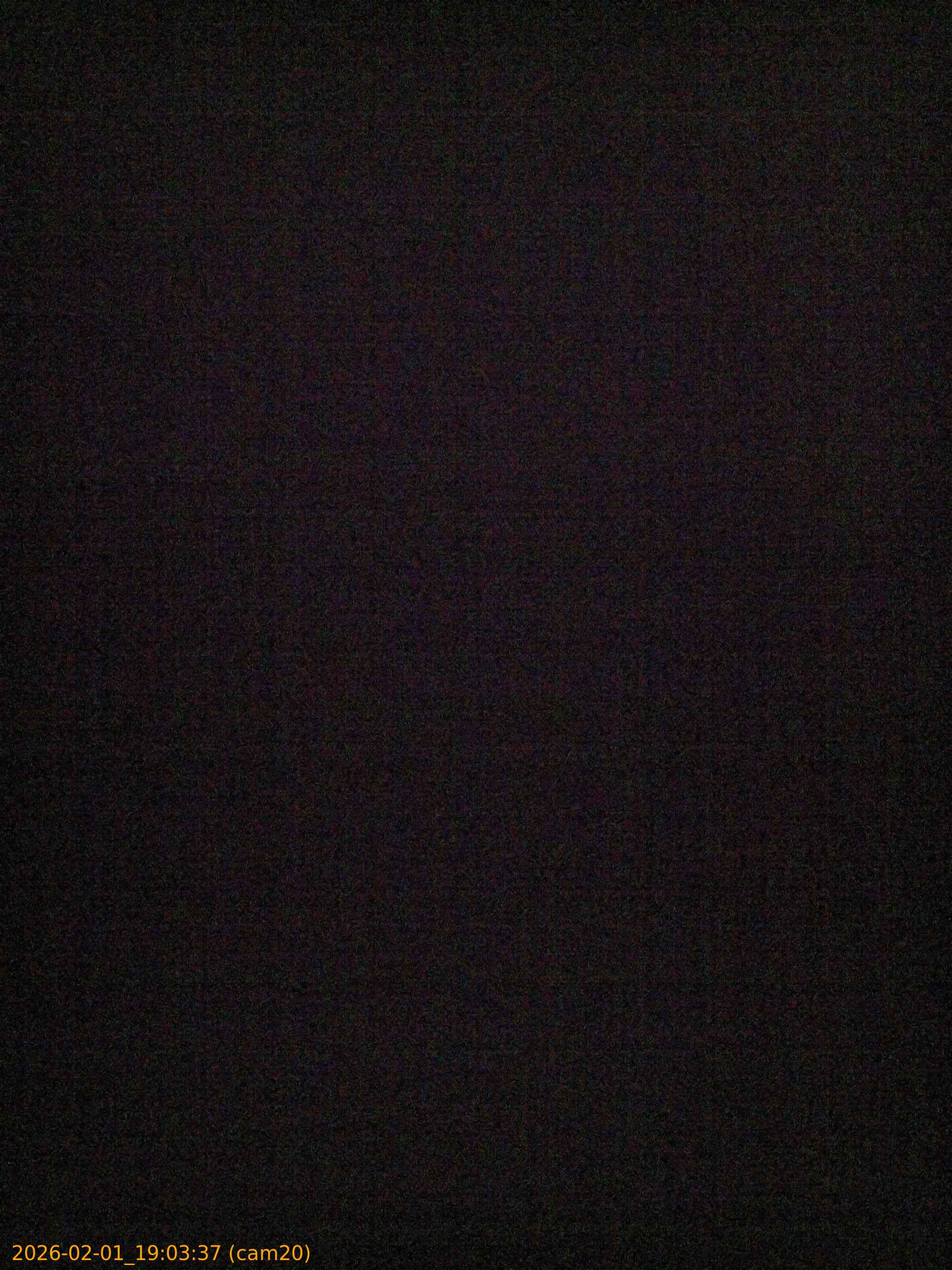 thumbnail_20260201190337