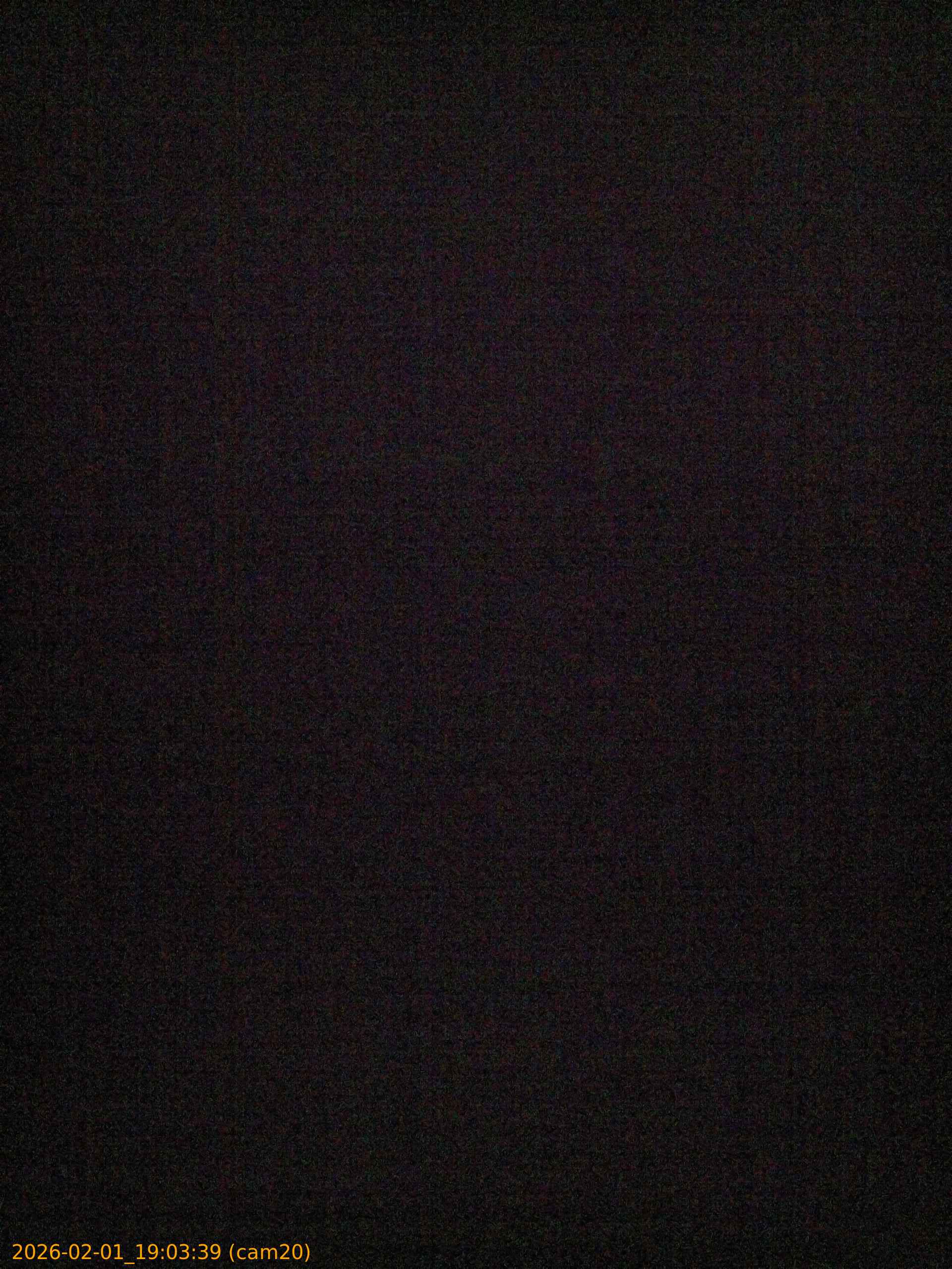 thumbnail_20260201190339