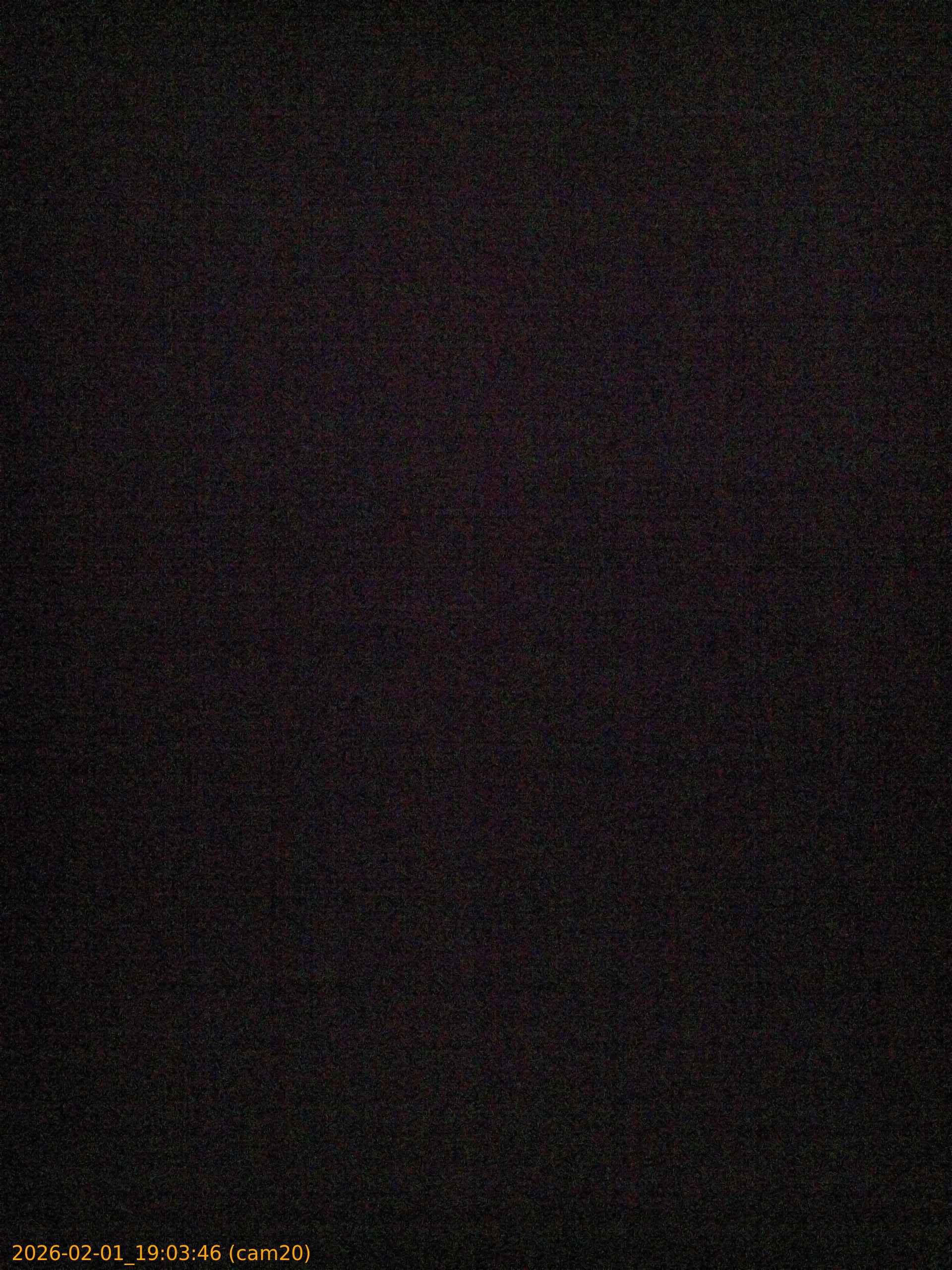 thumbnail_20260201190346