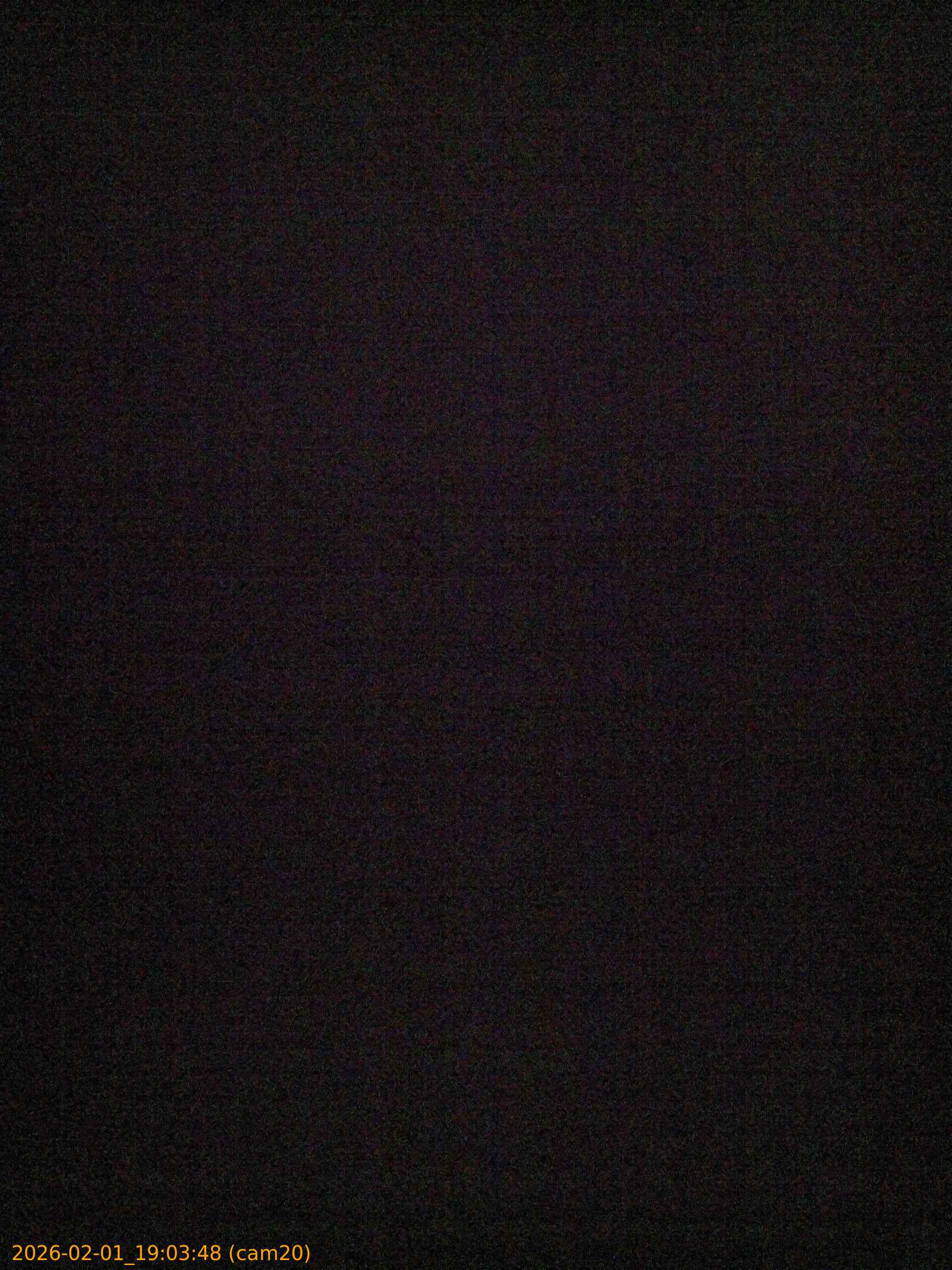 thumbnail_20260201190348