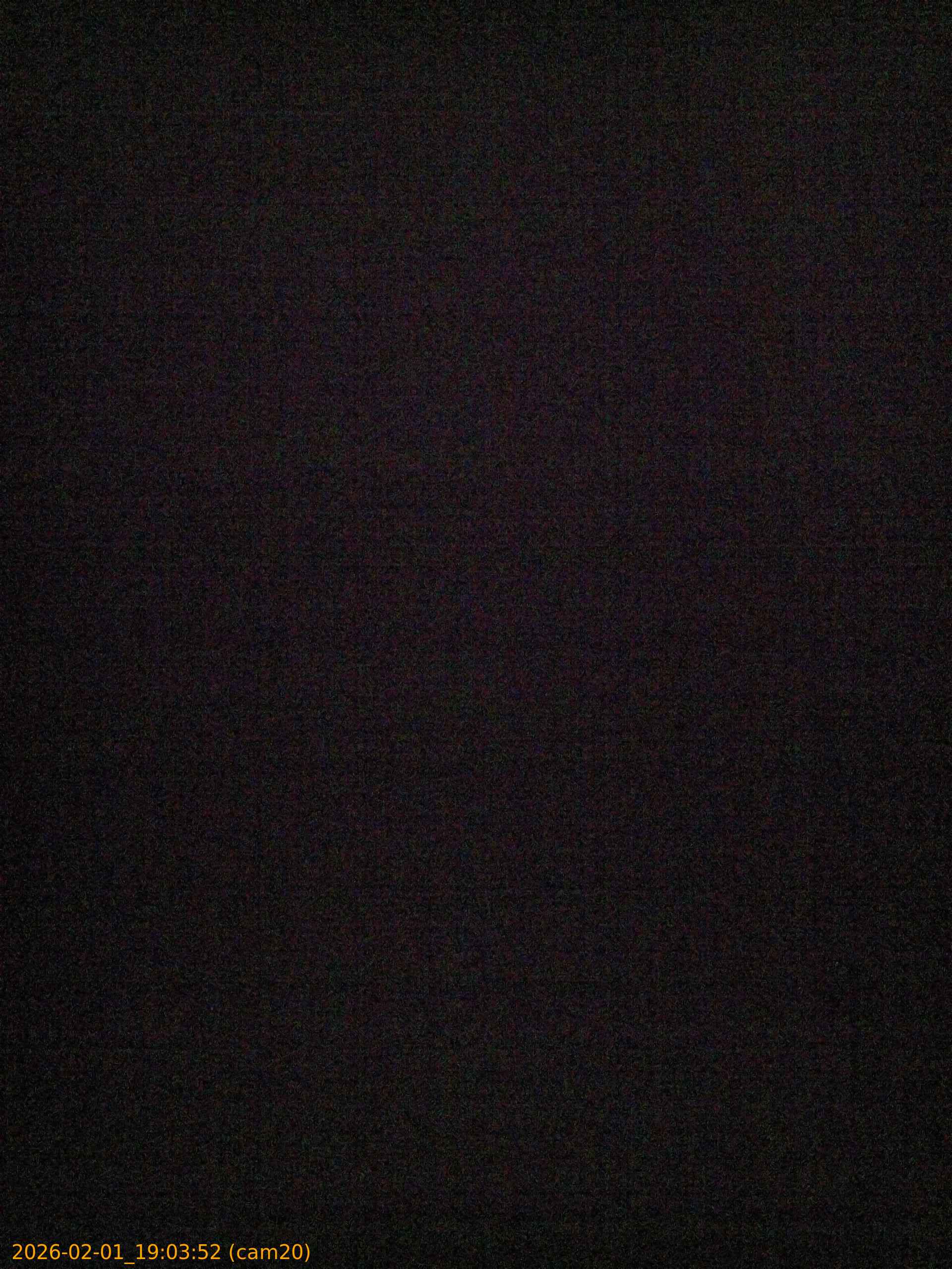 thumbnail_20260201190352