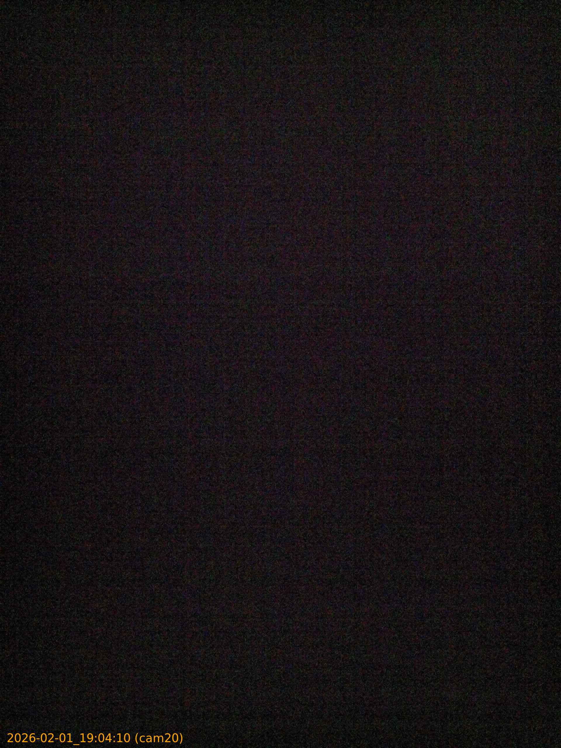 thumbnail_20260201190410