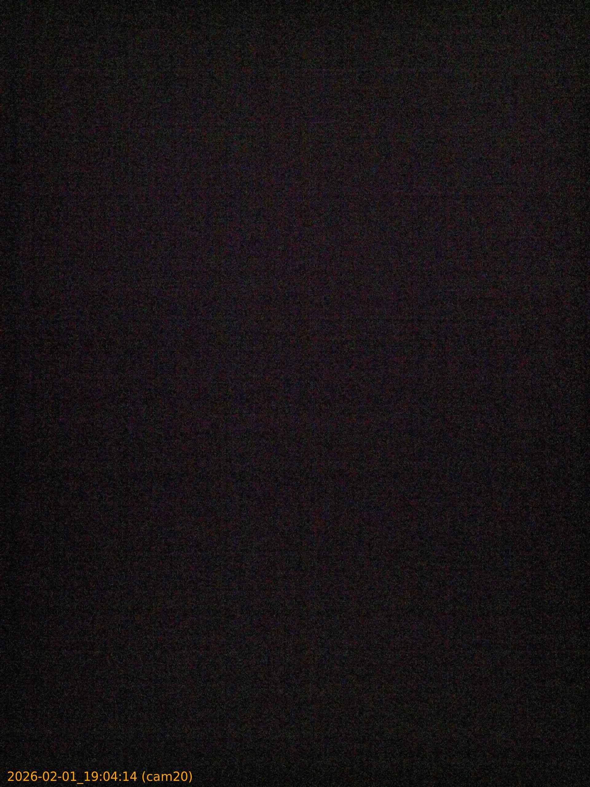 thumbnail_20260201190414