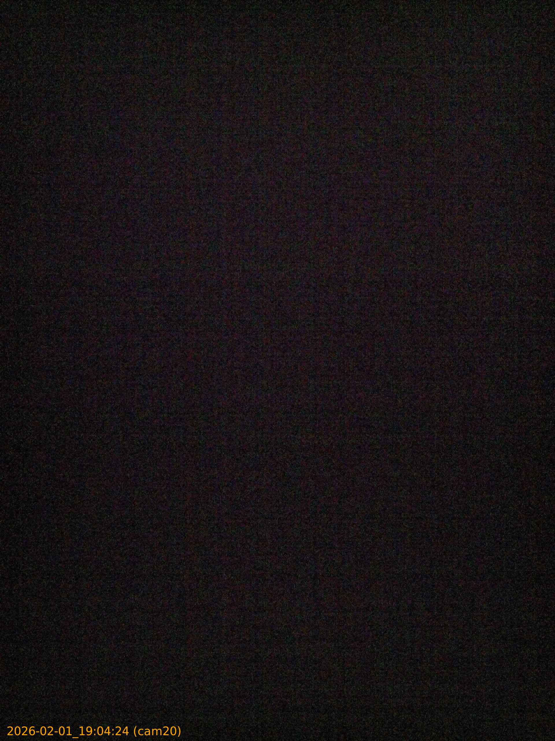 thumbnail_20260201190424