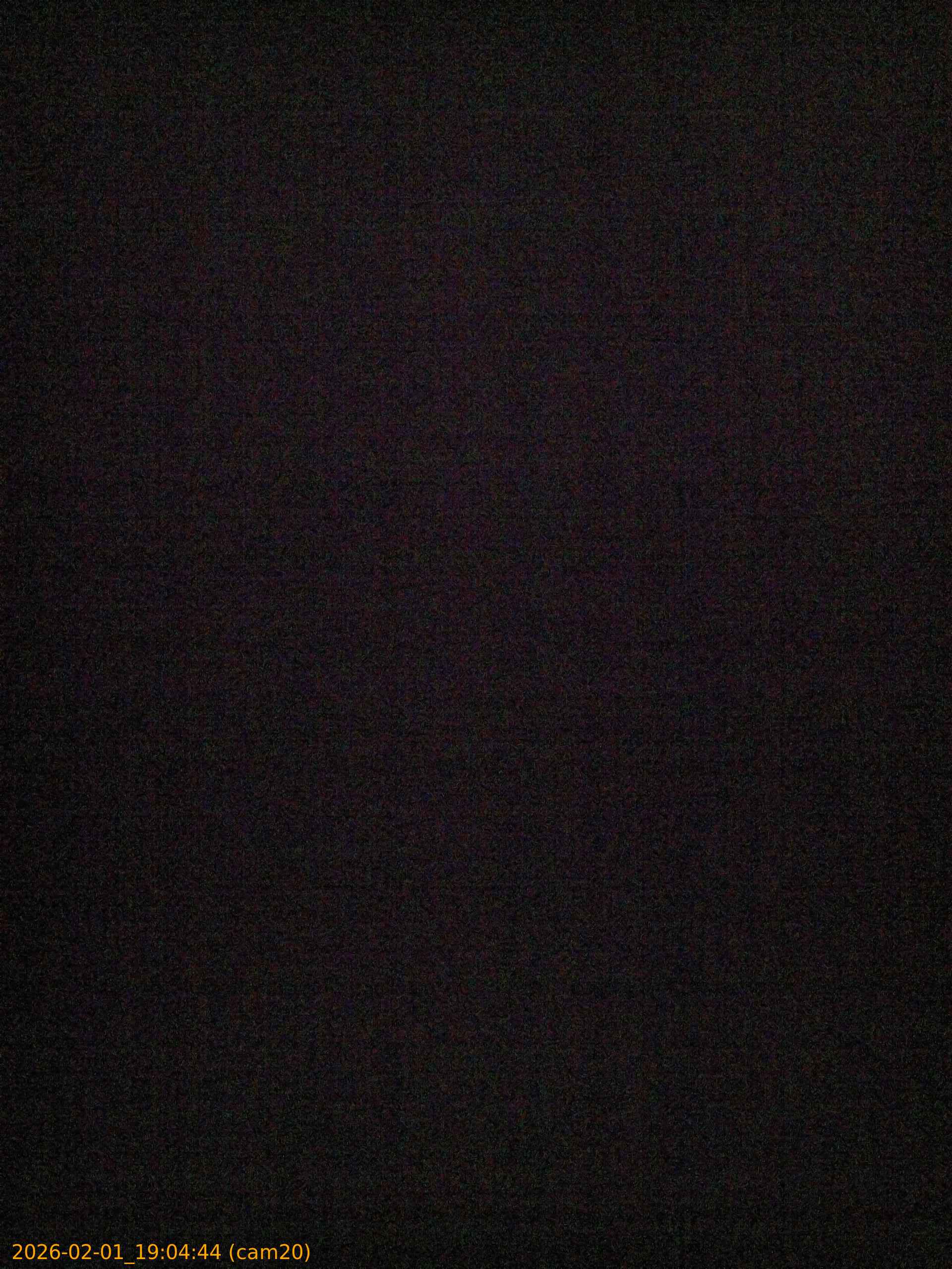 thumbnail_20260201190444