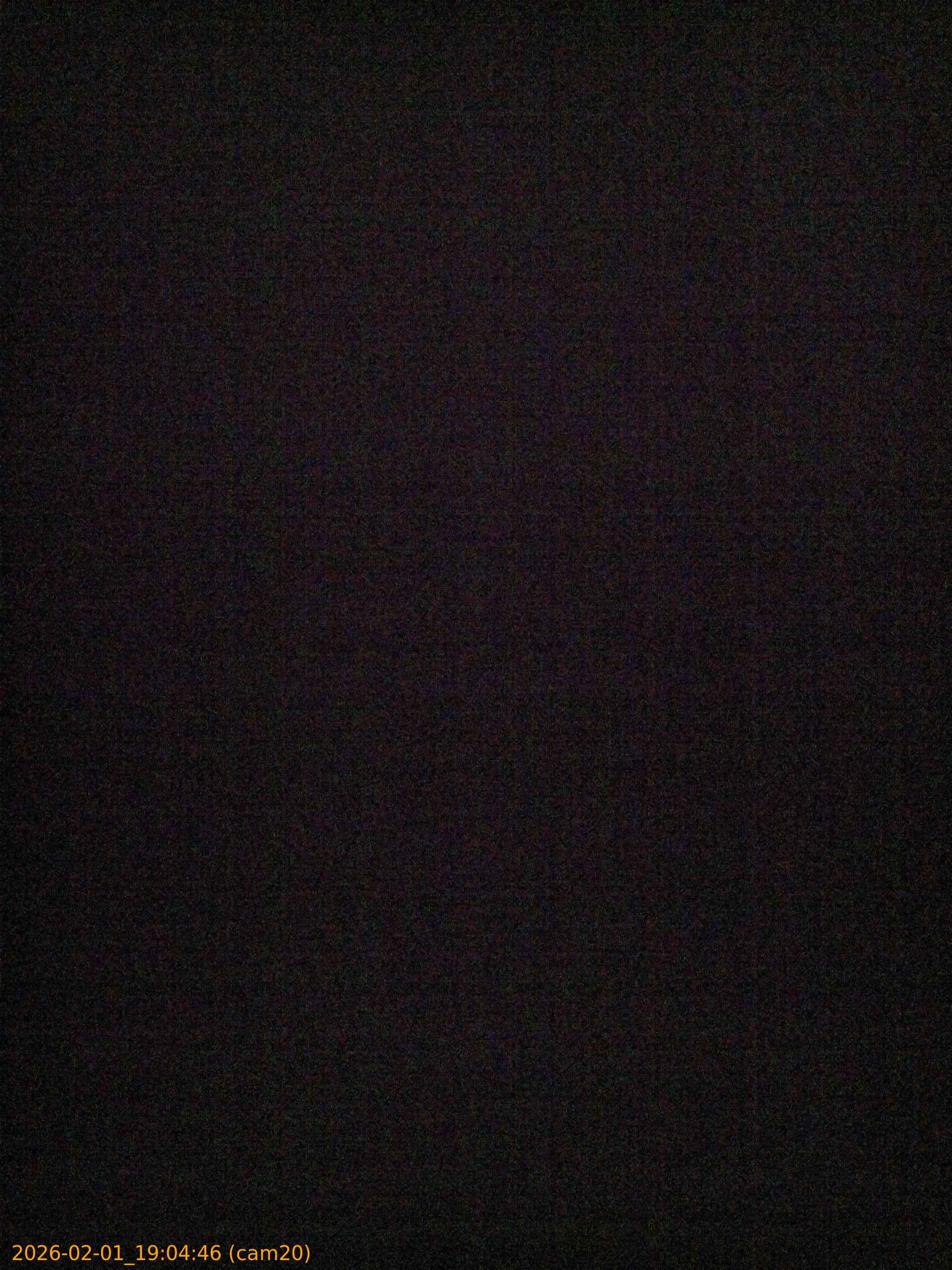 thumbnail_20260201190446