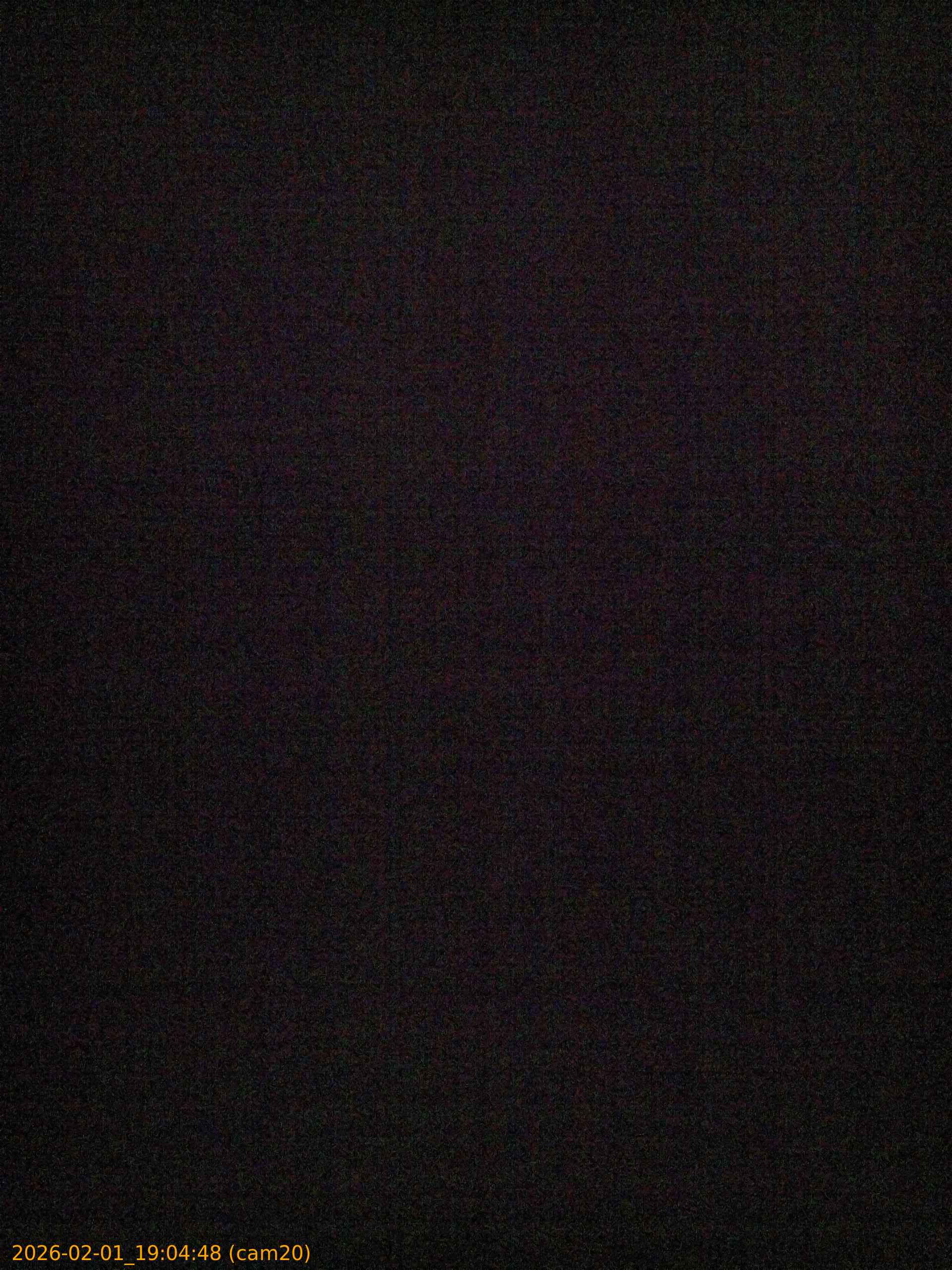 thumbnail_20260201190448