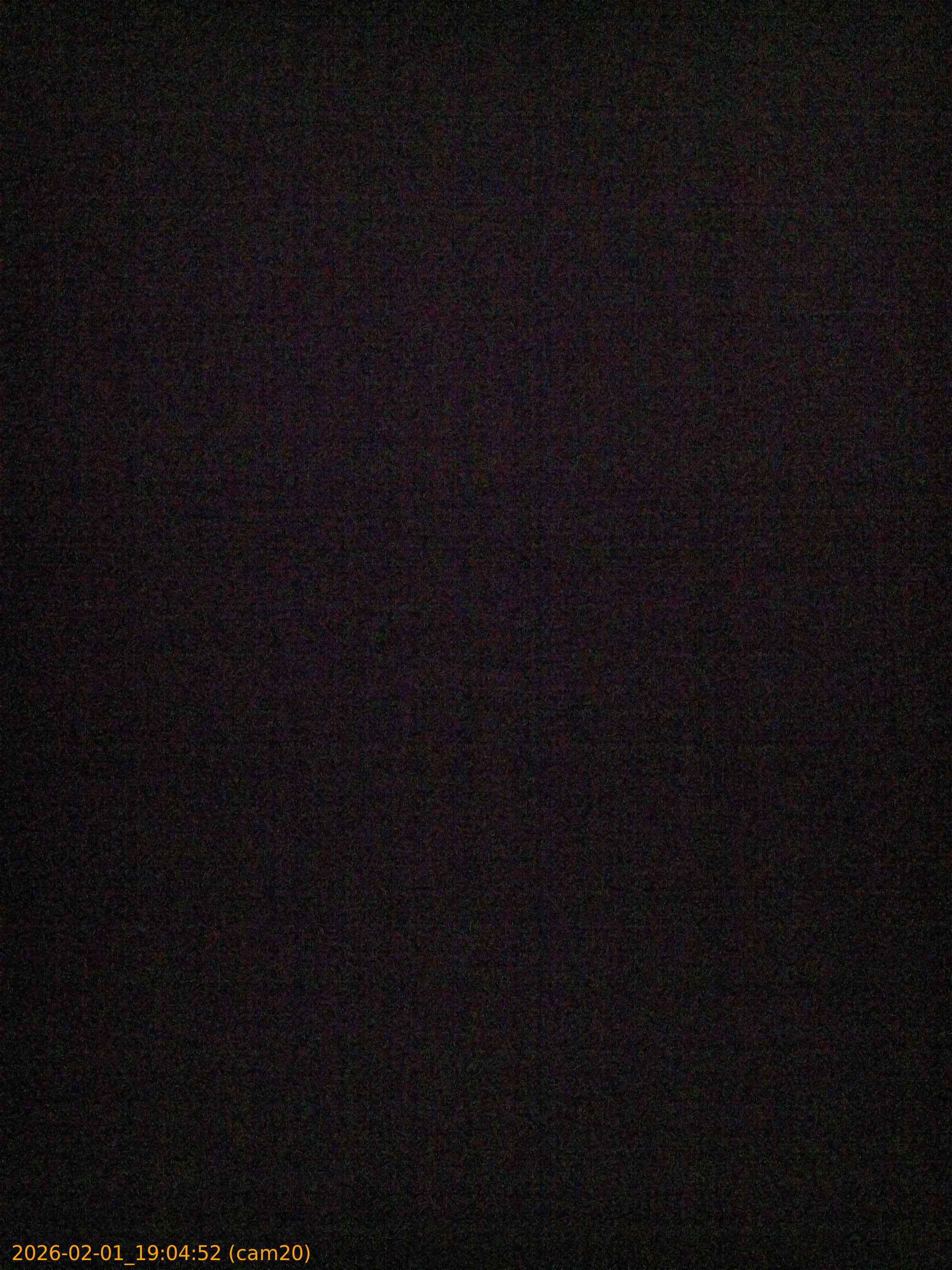 thumbnail_20260201190452