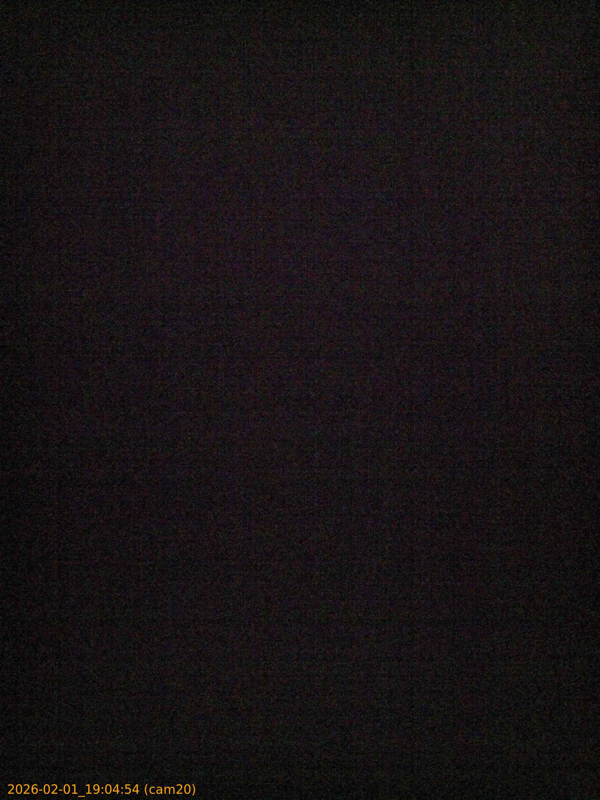 thumbnail_20260201190454