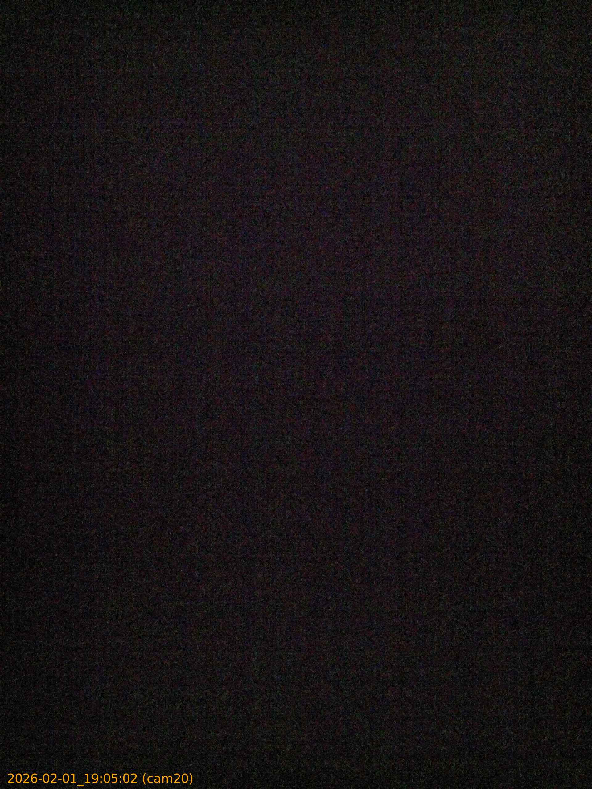 thumbnail_20260201190502