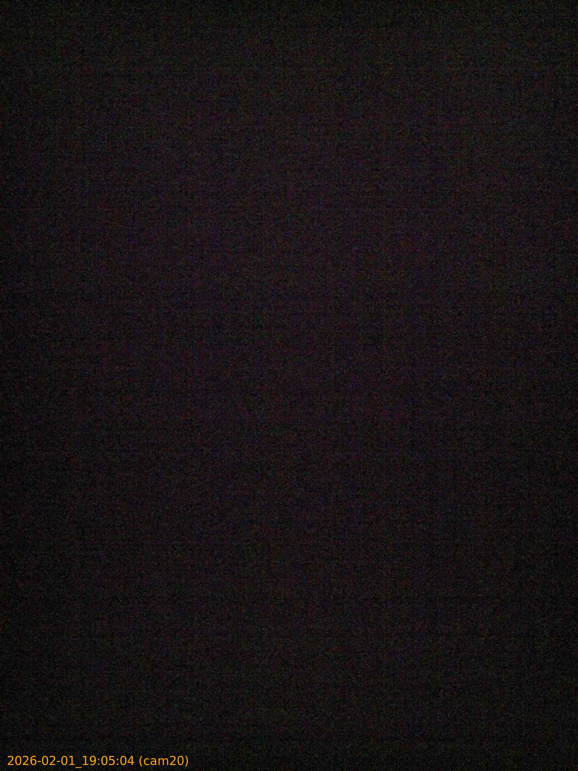 thumbnail_20260201190504