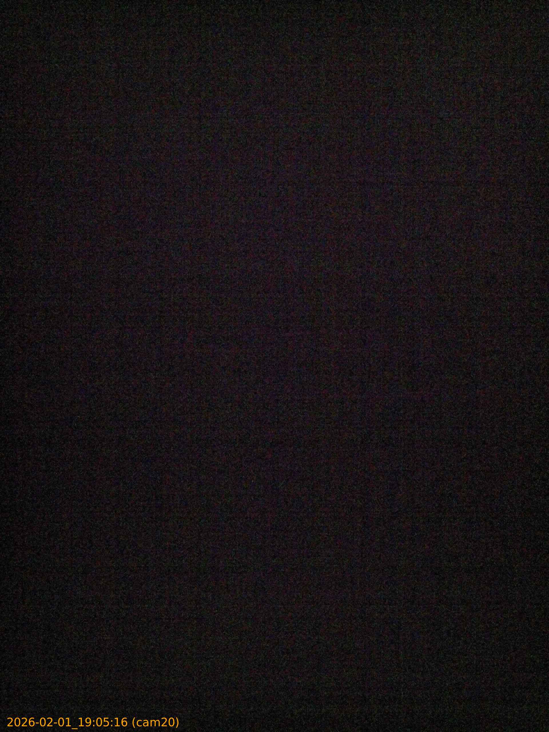 thumbnail_20260201190516