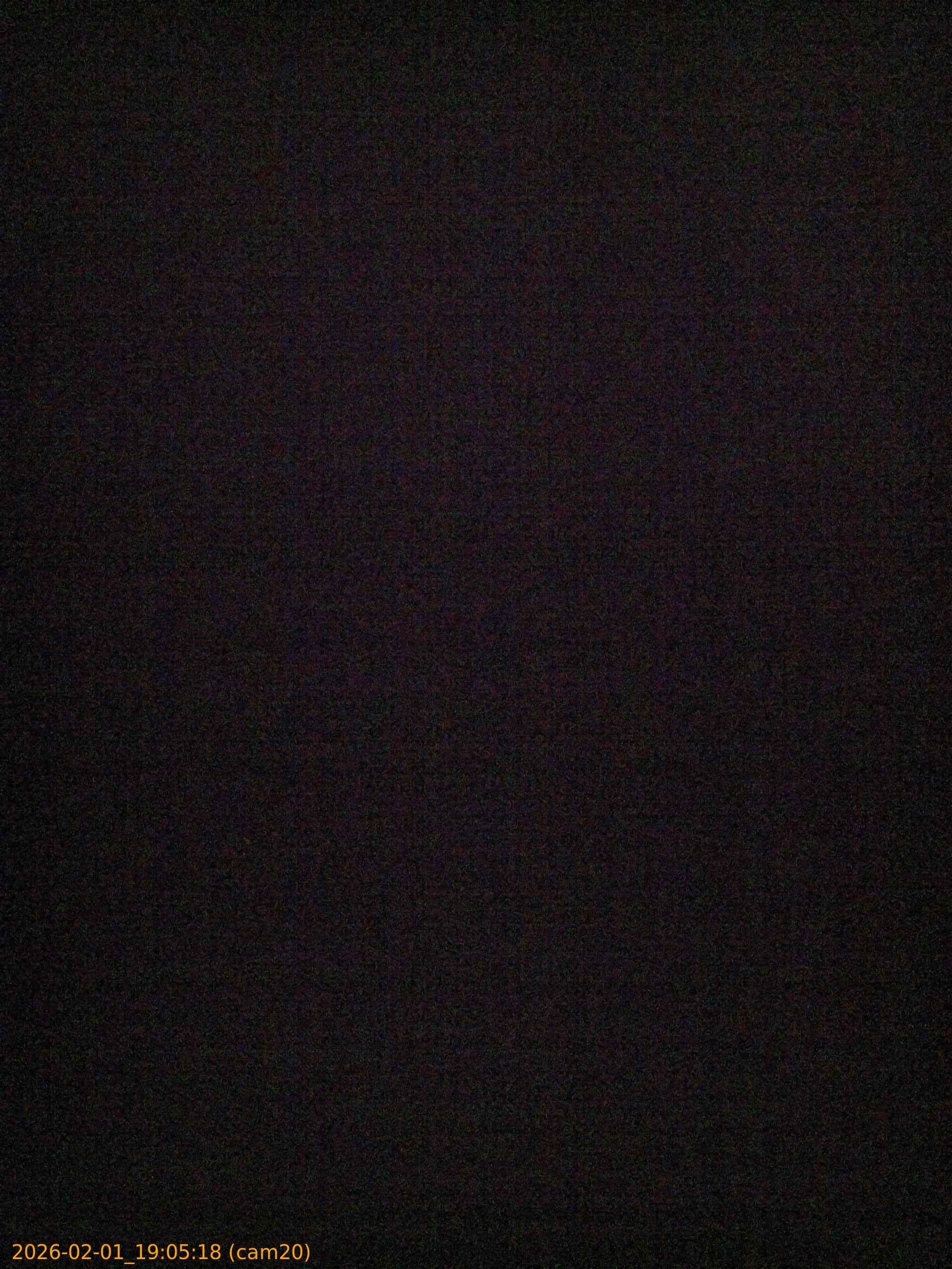 thumbnail_20260201190518