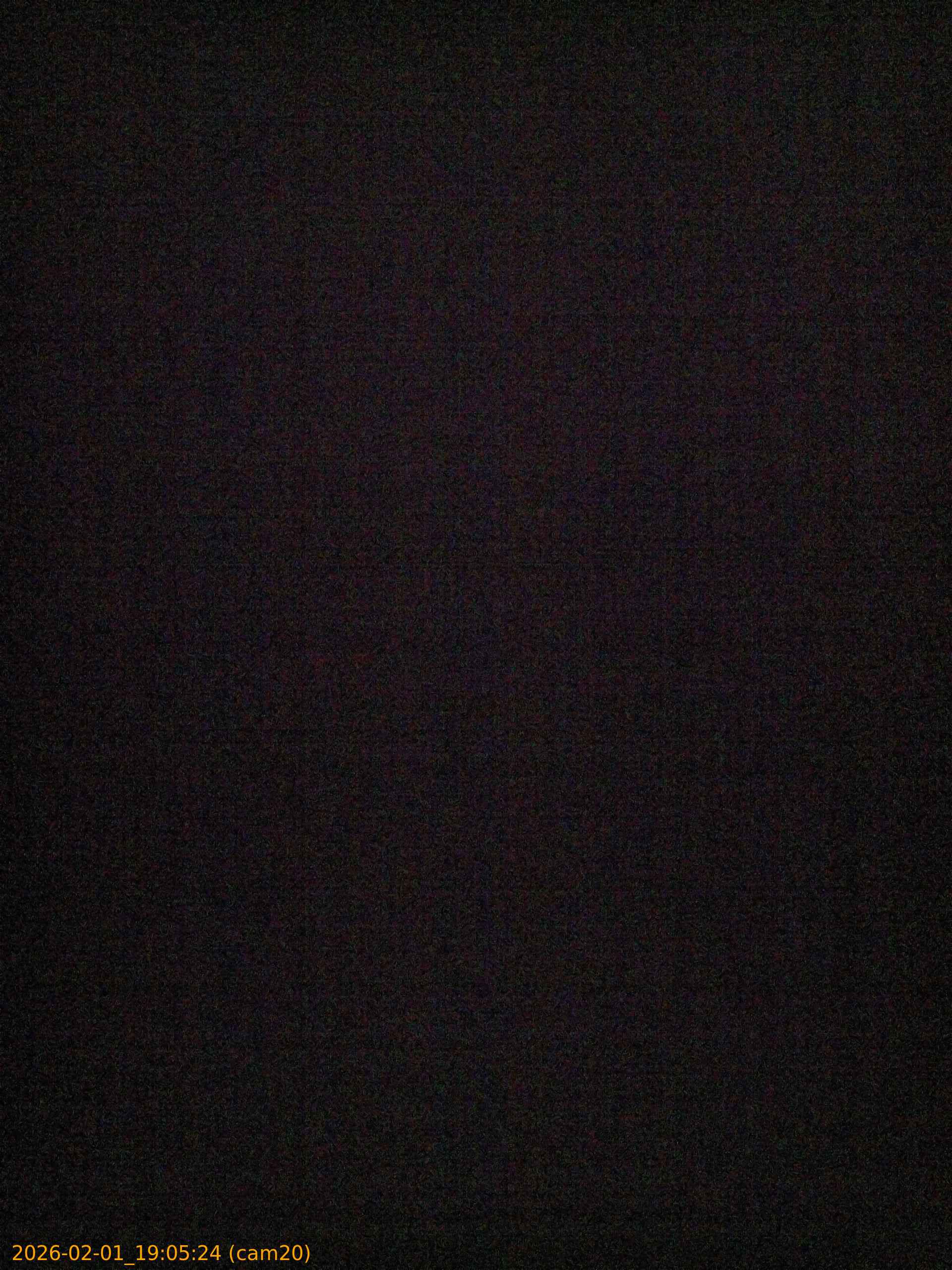 thumbnail_20260201190524