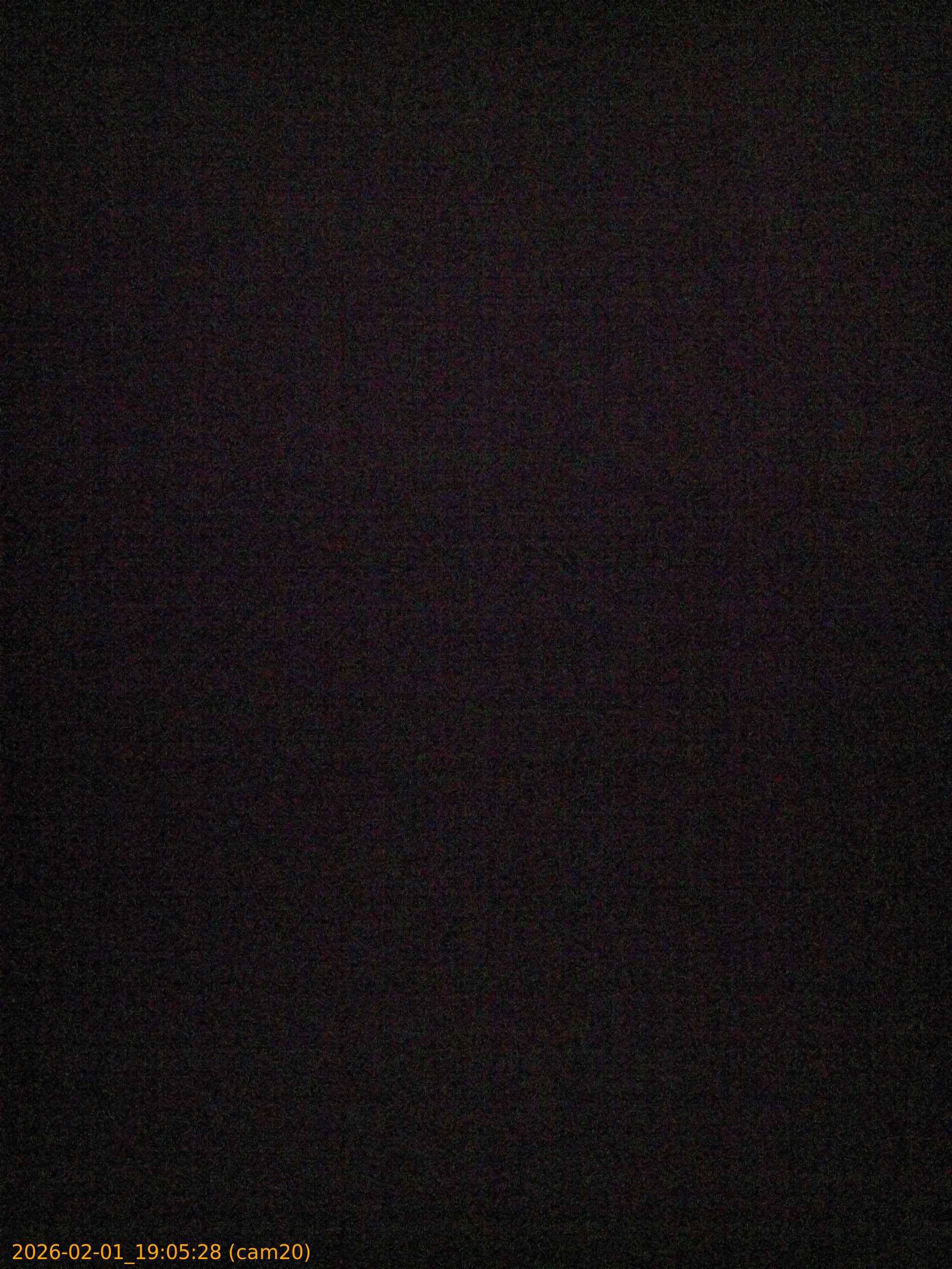 thumbnail_20260201190528