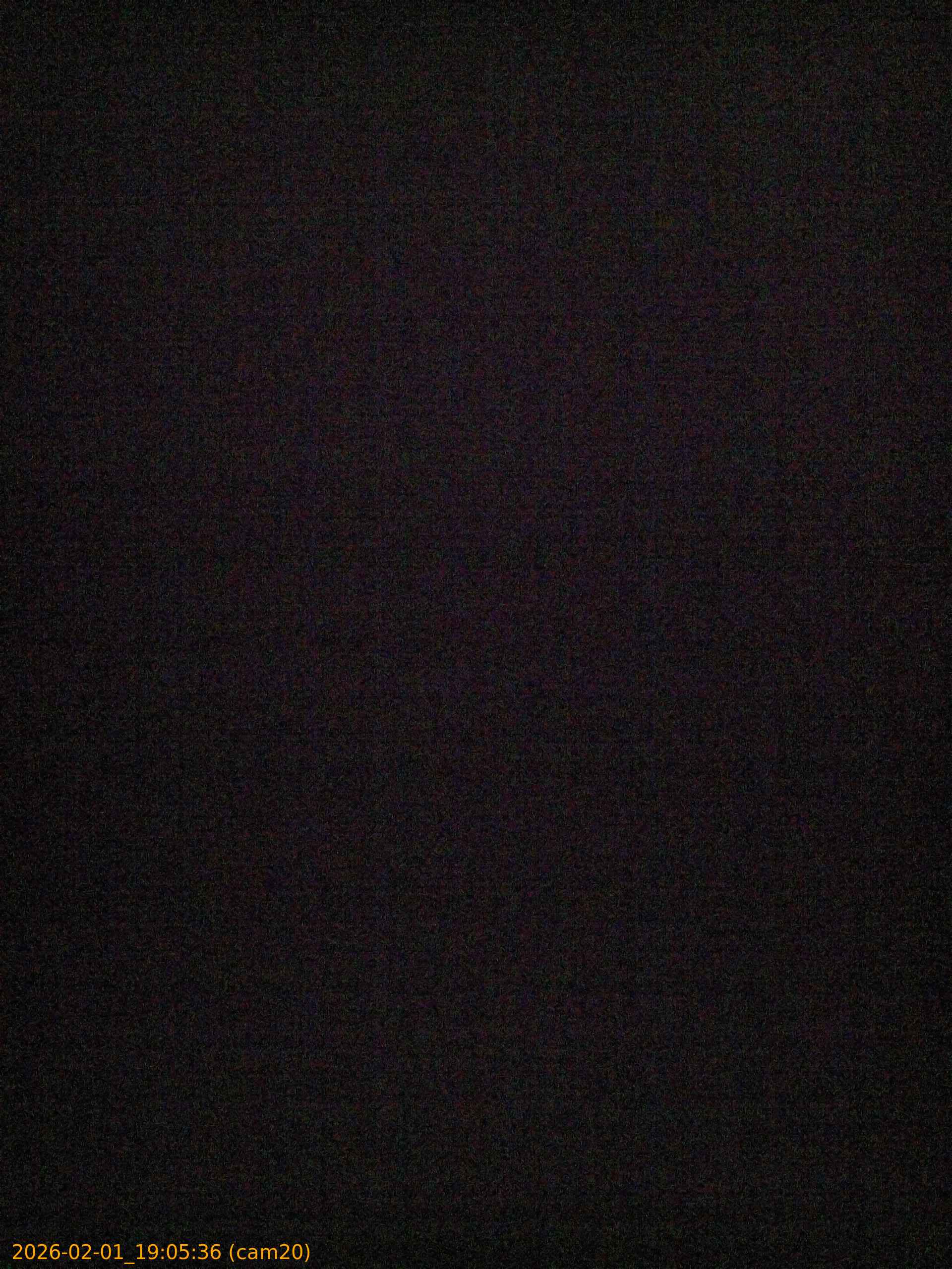 thumbnail_20260201190536